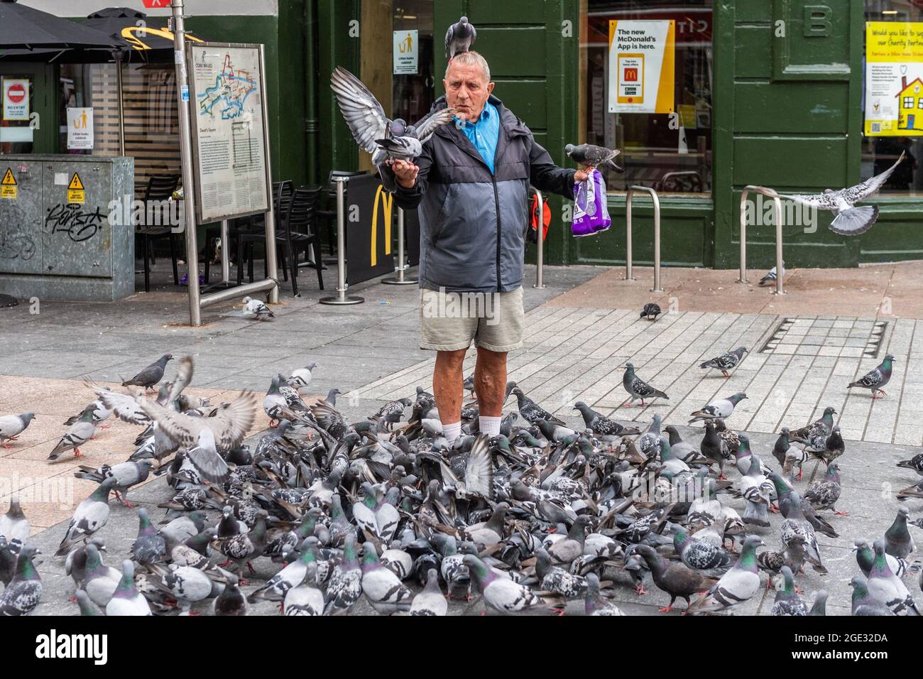 Cork, Irland. August 2021. Frank O'Flaherty aus Gurranabraher fütterte die Tauben auf dem Daunts Square im Stadtzentrum von Cork. Quelle: AG News/Alamy Live News Stockfoto