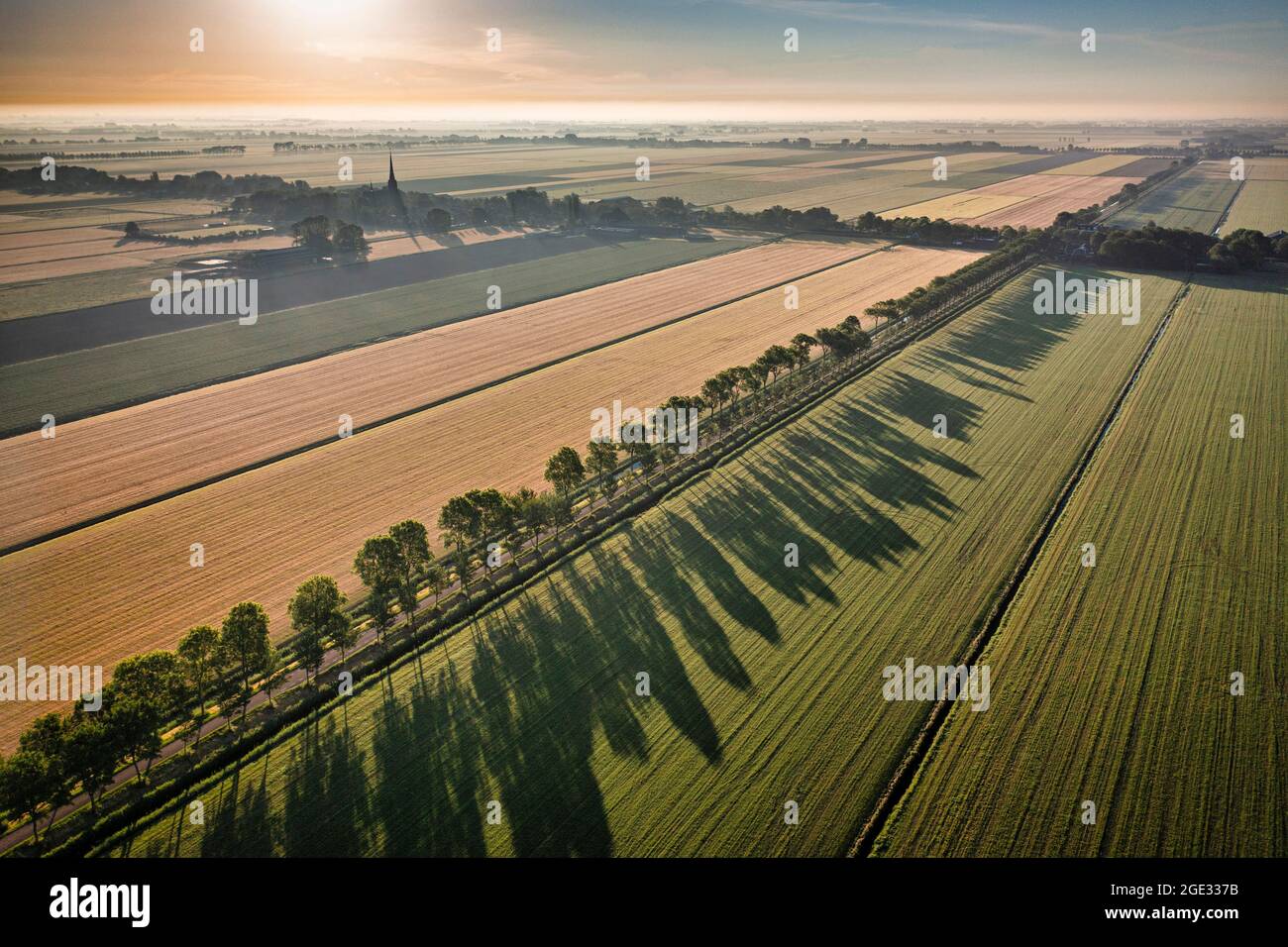 Niederlande, Noordbeemster, Farmland, Straßen mit Bäumen. Kirchturm. Antenne. Beemster Polder. UNESCO-Welterbe Worls. Stockfoto