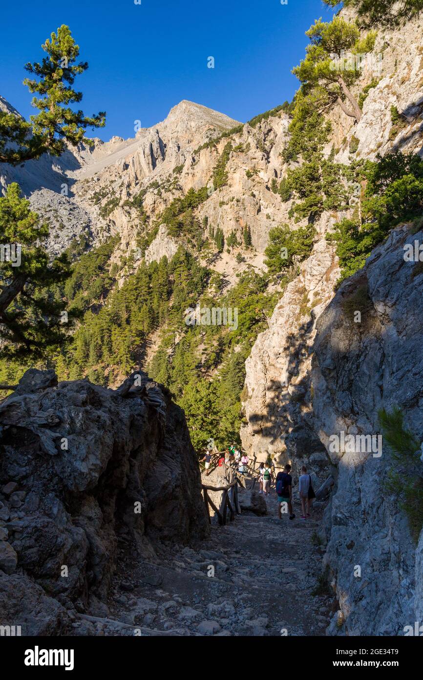 Wunderschöne Berglandschaft einer Schlucht, umgeben von hohen Klippen und Pinien (Samaria-Schlucht, Kreta, Griechenland) Stockfoto