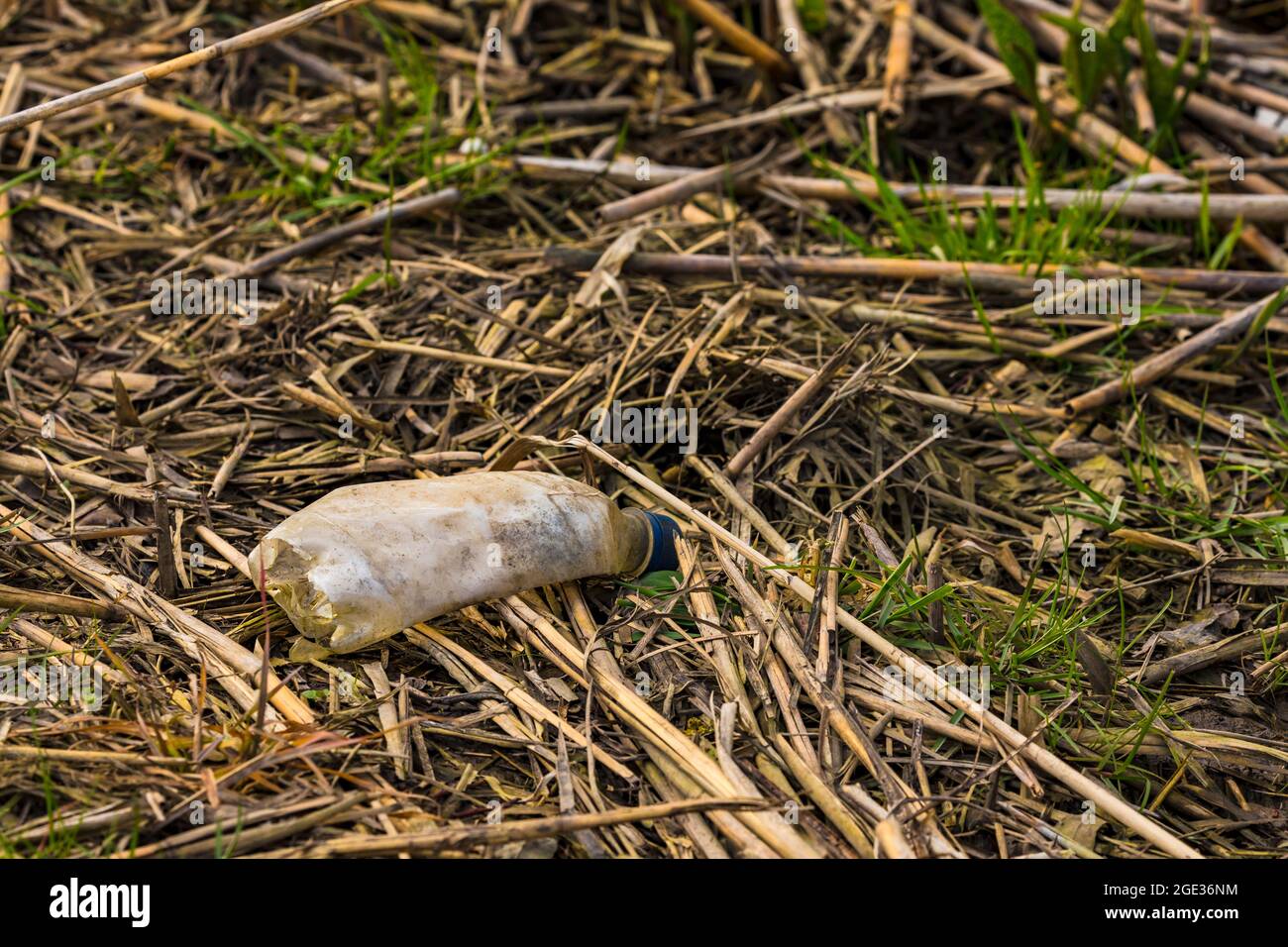 Eine Plastikflasche wurde weggeworfen und verrottet langsam in einem Gewässer Stockfoto