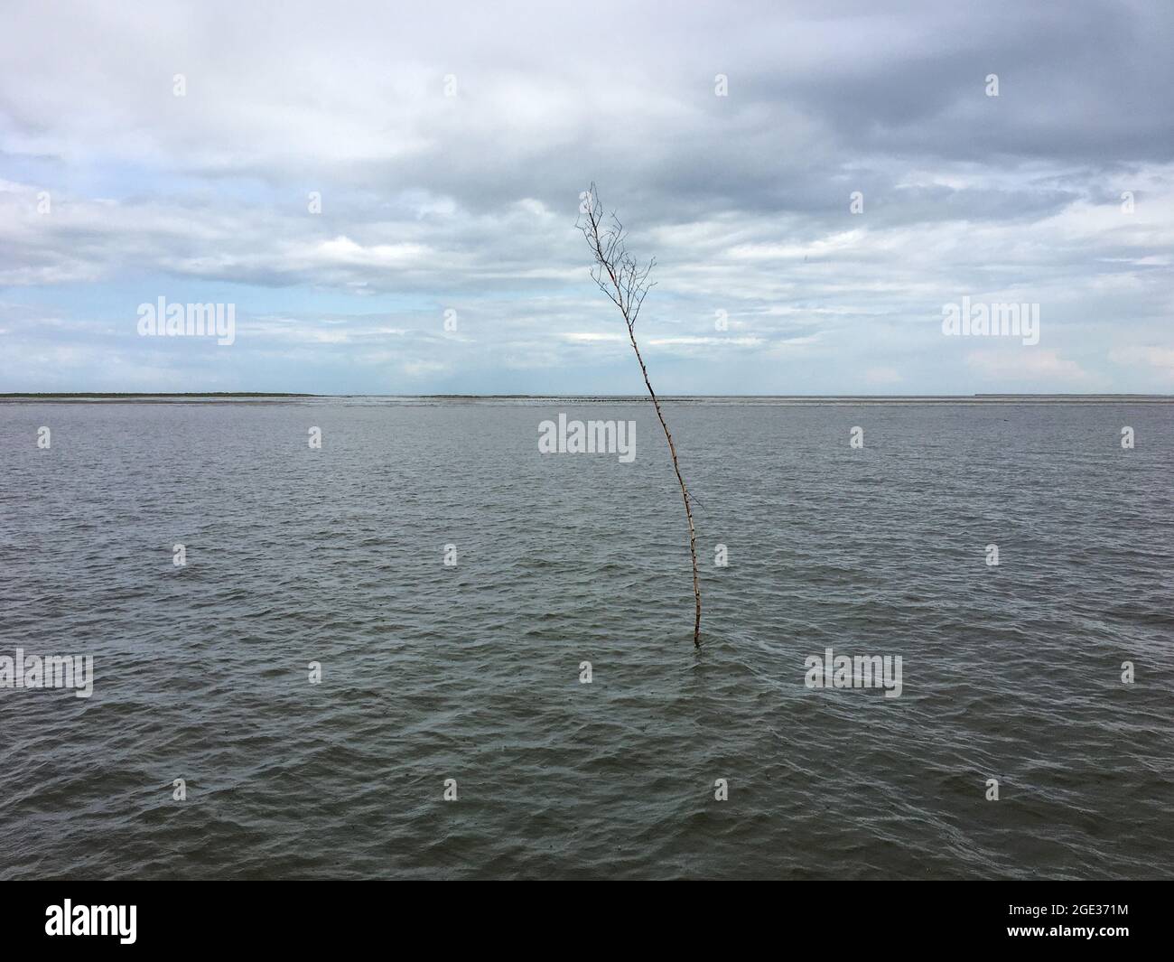 Ein Pricke im Wattenmeer an der Nordsee in Ostfriesland. Hergestellt aus Birke hilft es Schiffen, wie Bojen zu navigieren. Stockfoto