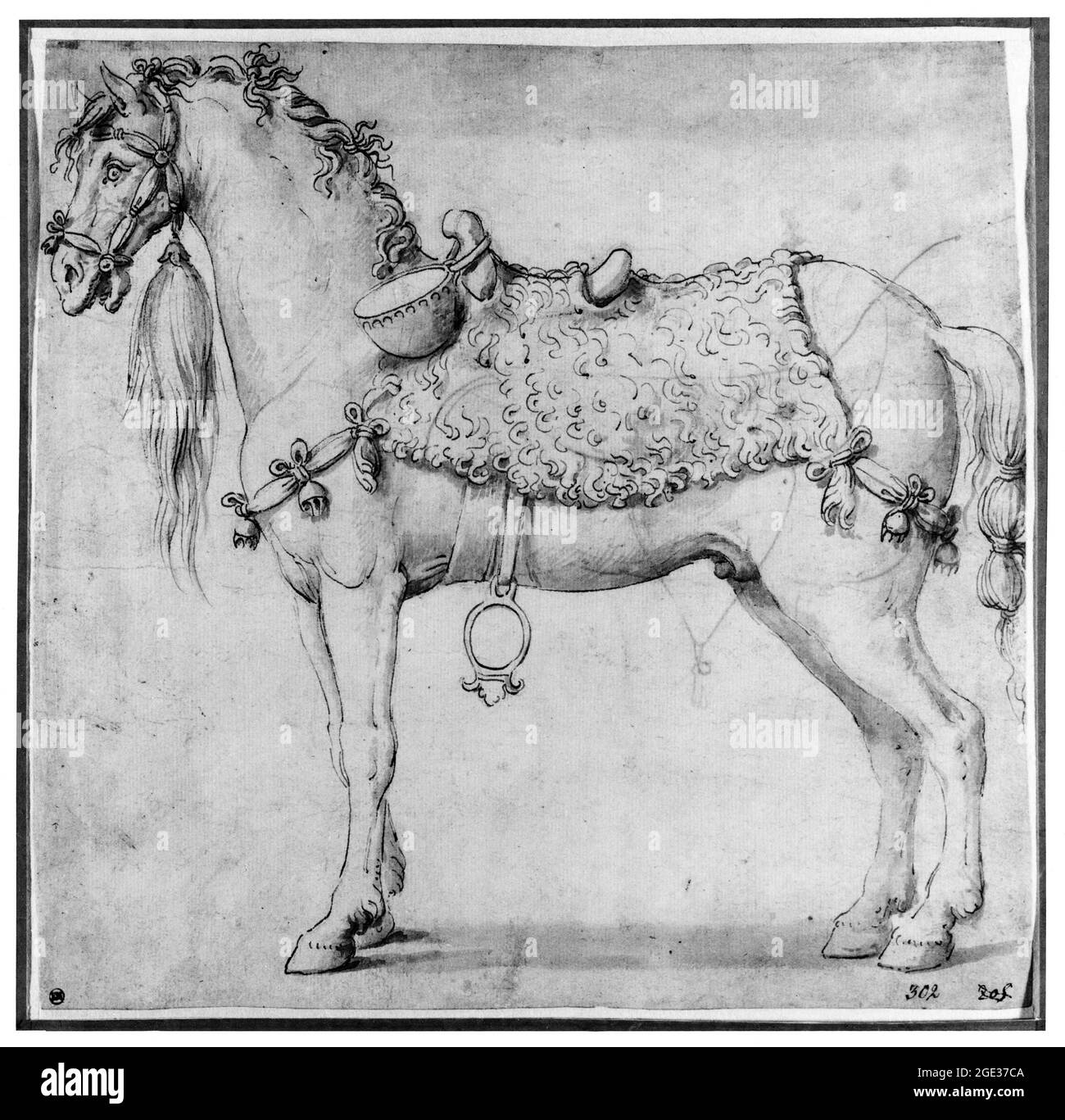 Giulio Romano, (Giulio Pippi), Pferd mit Trommel am Sattel, Zeichnung, vor 1546 Stockfoto