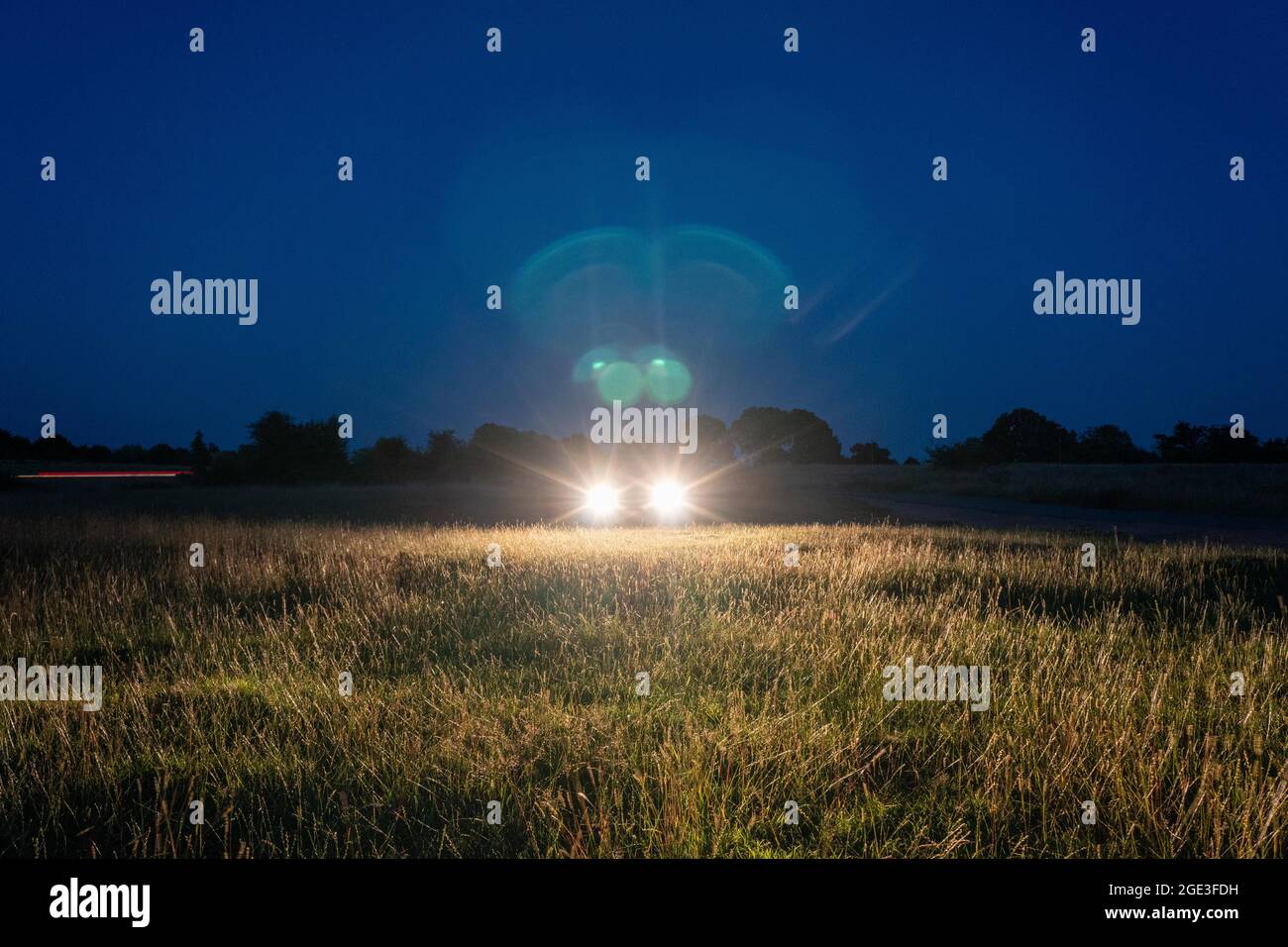 Eine launische Bearbeitung von Autoscheinwerfern, die in einer Sommernacht über ein Feld leuchten. Stockfoto