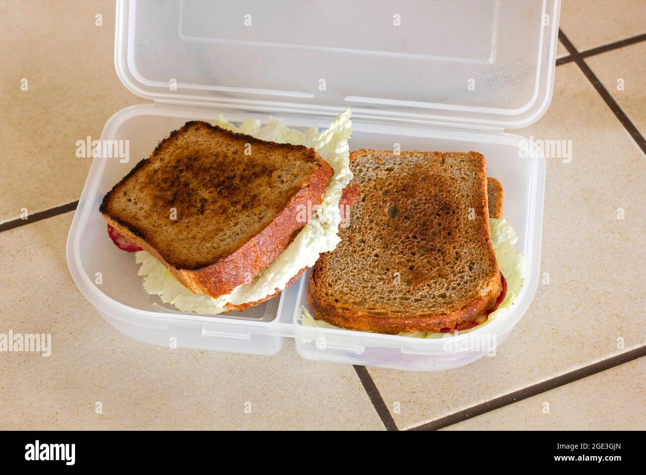 Sandwiches in einer Sandwich-Box. Hausgemachte Speisen Stockfoto