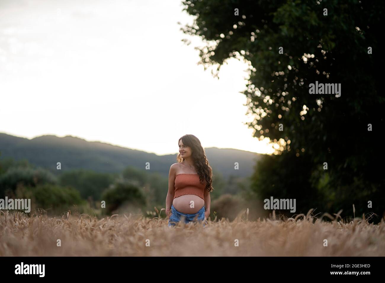 Schwangerin steht im Weizenfeld. Sie lächelt und schaut zur Seite. Stockfoto