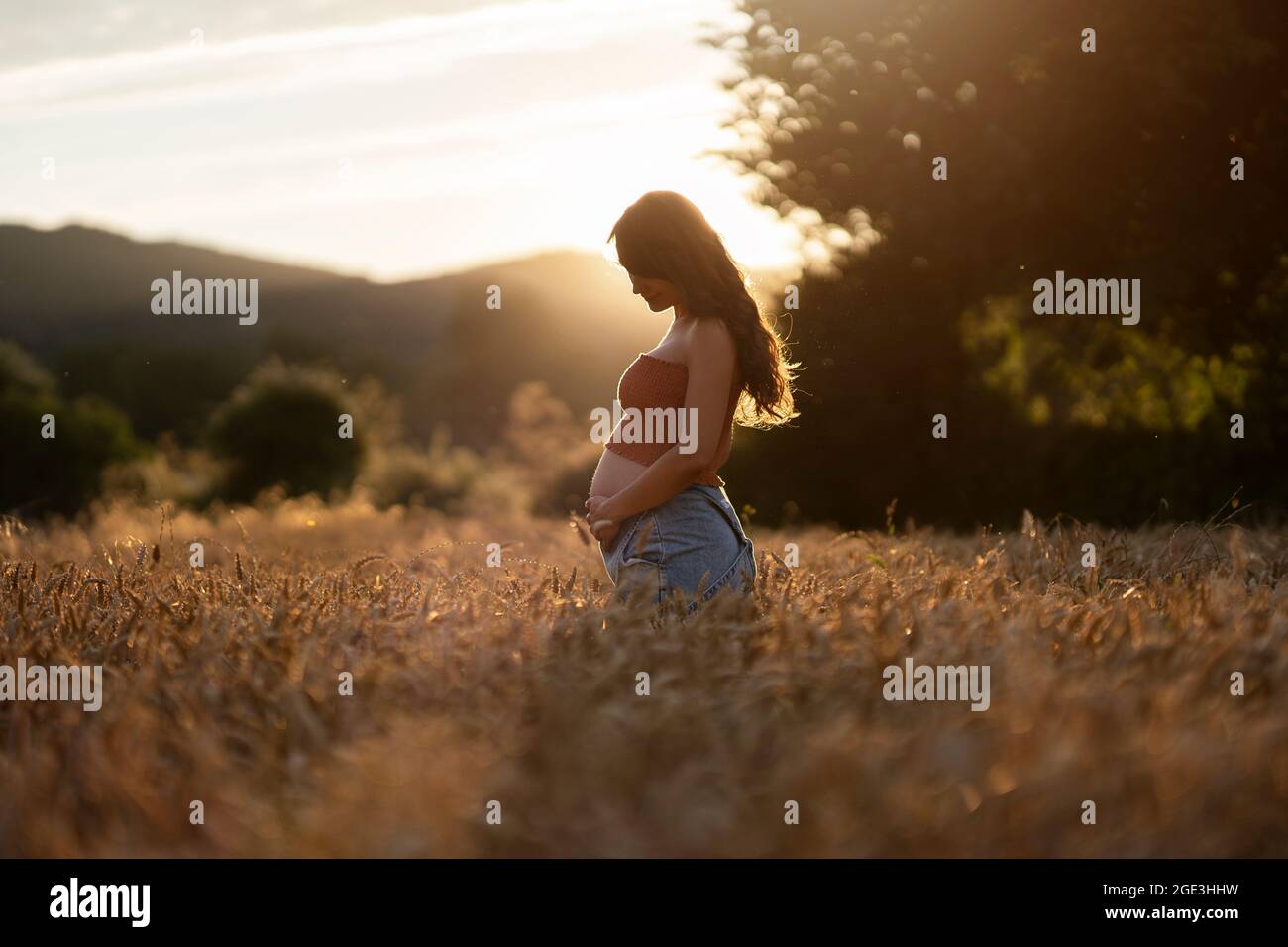Seitenansicht einer Schwangeren, die im Weizenfeld steht. Sie berührt und schaut auf ihren Bauch. Stockfoto