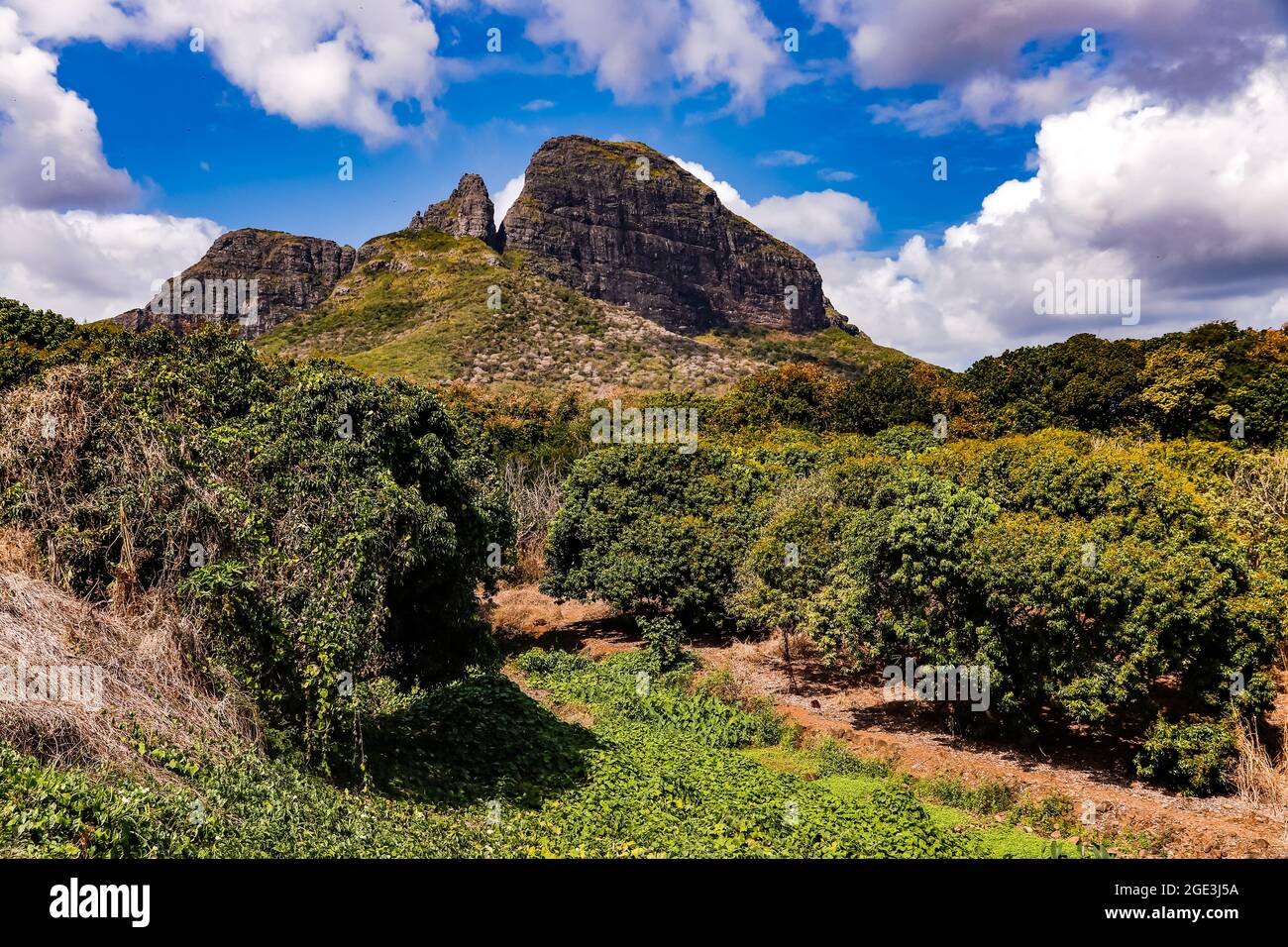 Die Gebirgsformation Trois Mamelles vor üppiger grüner Natur nahe der Westküste von Mauritius im Indischen Ozean Stockfoto