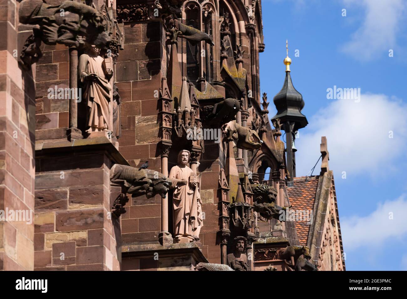 Freiburg, Deutschland. August 2021. Auf der südlichen façade des