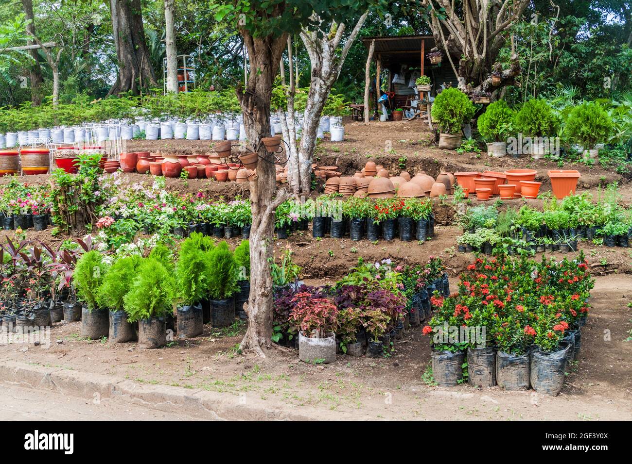 Gartencenter im Dorf Catarina in der Nähe des Sees Laguna de Apoyo, Nicaragua Stockfoto