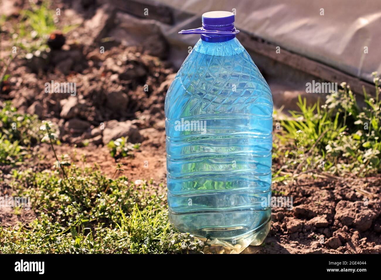 Eine Flasche Wasser im Garten. Bewässerungswasser Stockfoto