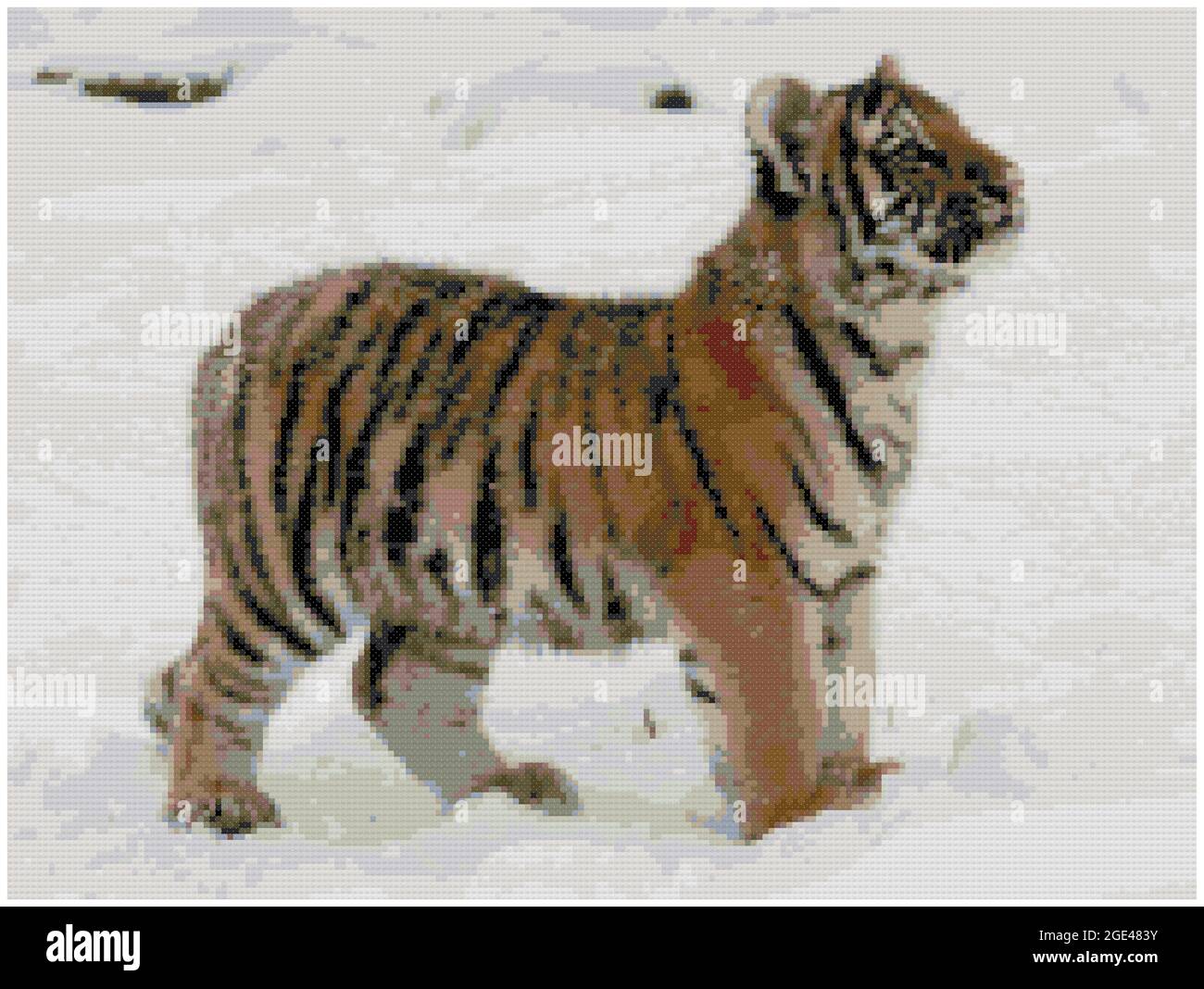Sibirischer Tiger Junge Panthera Tigris Altaica Tiger Wilde Natur Verschneiten Wald Tiger Junge Im Schnee Abbildung Der Kreuzstich Stickerei Imitatio Stockfotografie Alamy