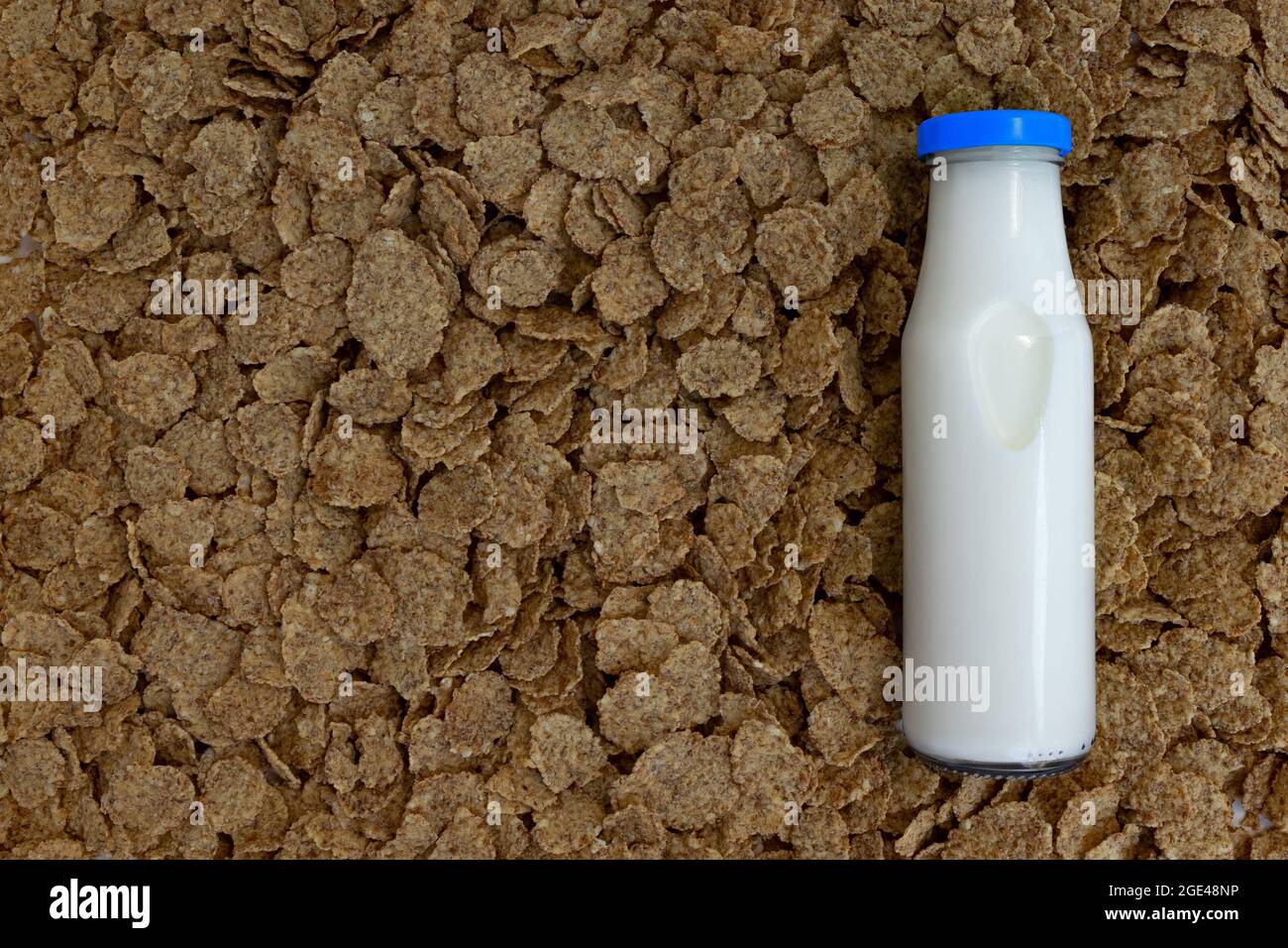 Frische Milch in Glasflasche mit Maisflocken, Milchprodukte Konzept des Frühstücks auf Getreide Hintergrund mit Ampty Platz für Text, Draufsicht Stockfoto