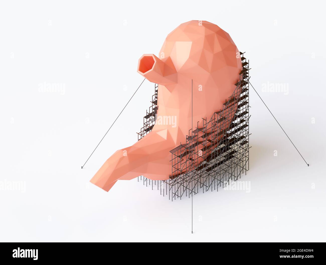 3d-Illustration des Low-Poly-Konzepts zur Reparatur des menschlichen Magens. Isometrisches 3d-Rendering des Magens mit Gerüsten darauf Stockfoto