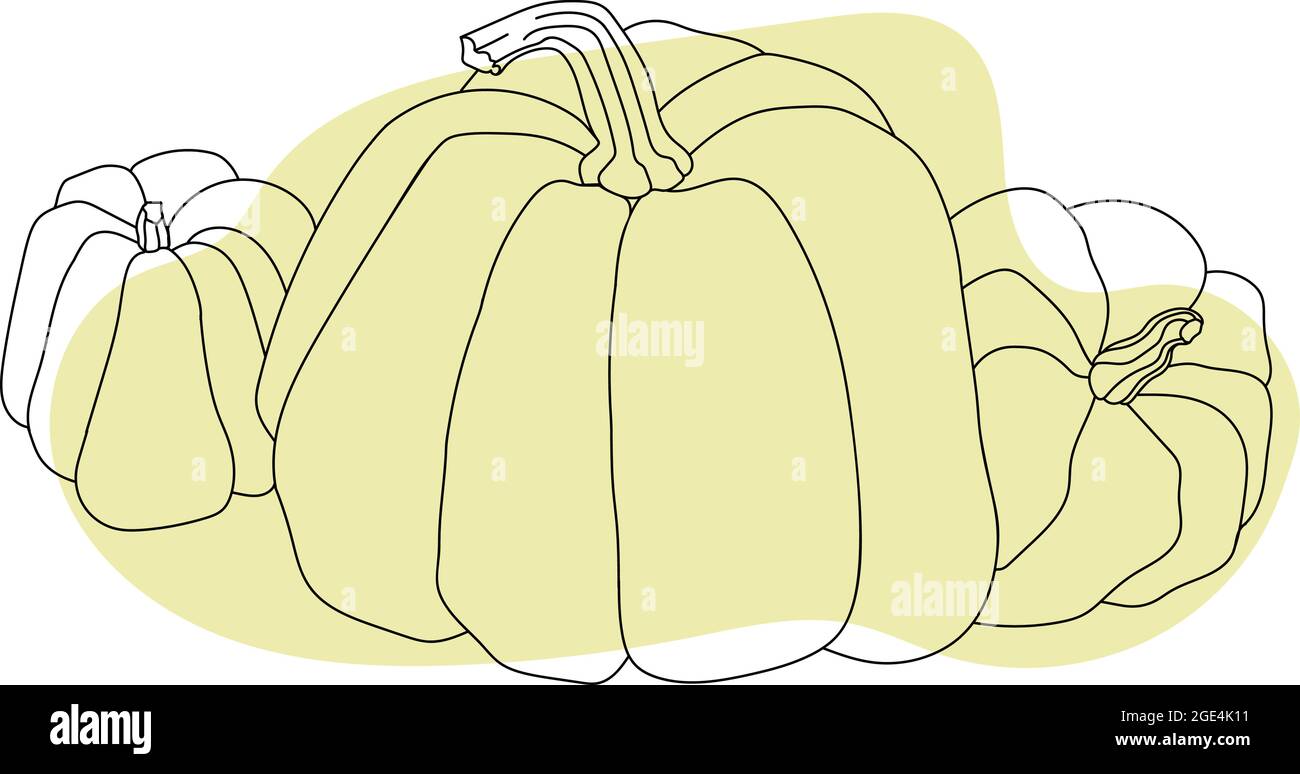 Herbstkürbisse zeichnen durch schwarze Linie auf farbigem Hintergrund, isoliertes Bild. Stock Vektor