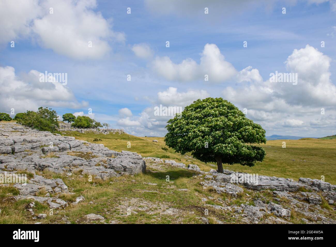 Kalksteinlandschaft auf Farleton und Newbiggin Fells oberhalb von Burton-in-Kendal an der Grenze zu Lancashire und Cumbria Stockfoto