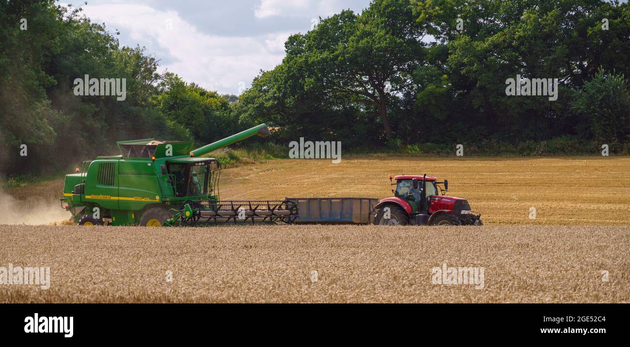 John Deere CTS 9870i Mähdrescher in Aktion Sammeln der Weizenernte mit einem Red Case 130 Traktor ziehen die Ernte Anhänger Stockfoto