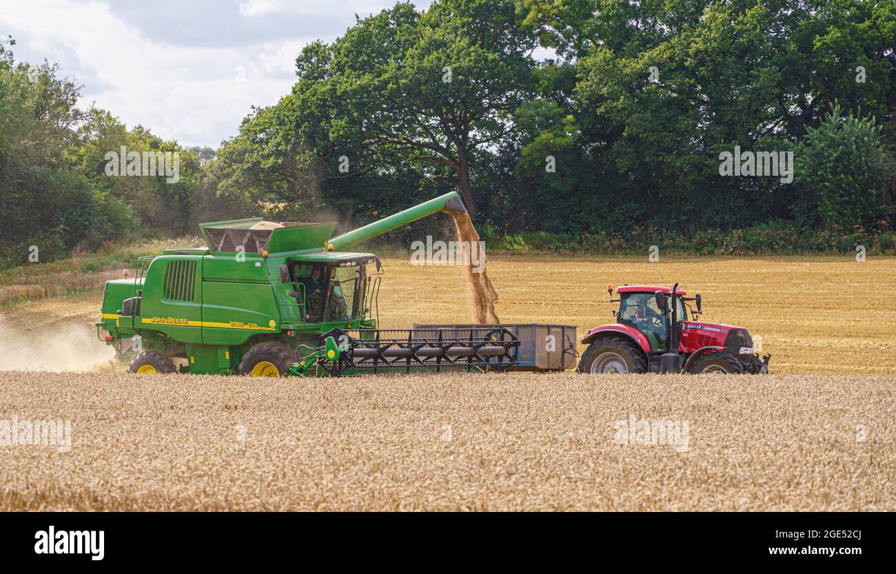 John Deere CTS 9870i Mähdrescher in Aktion Sammeln der Weizenernte mit einem Red Case 130 Traktor ziehen die Ernte Anhänger Stockfoto