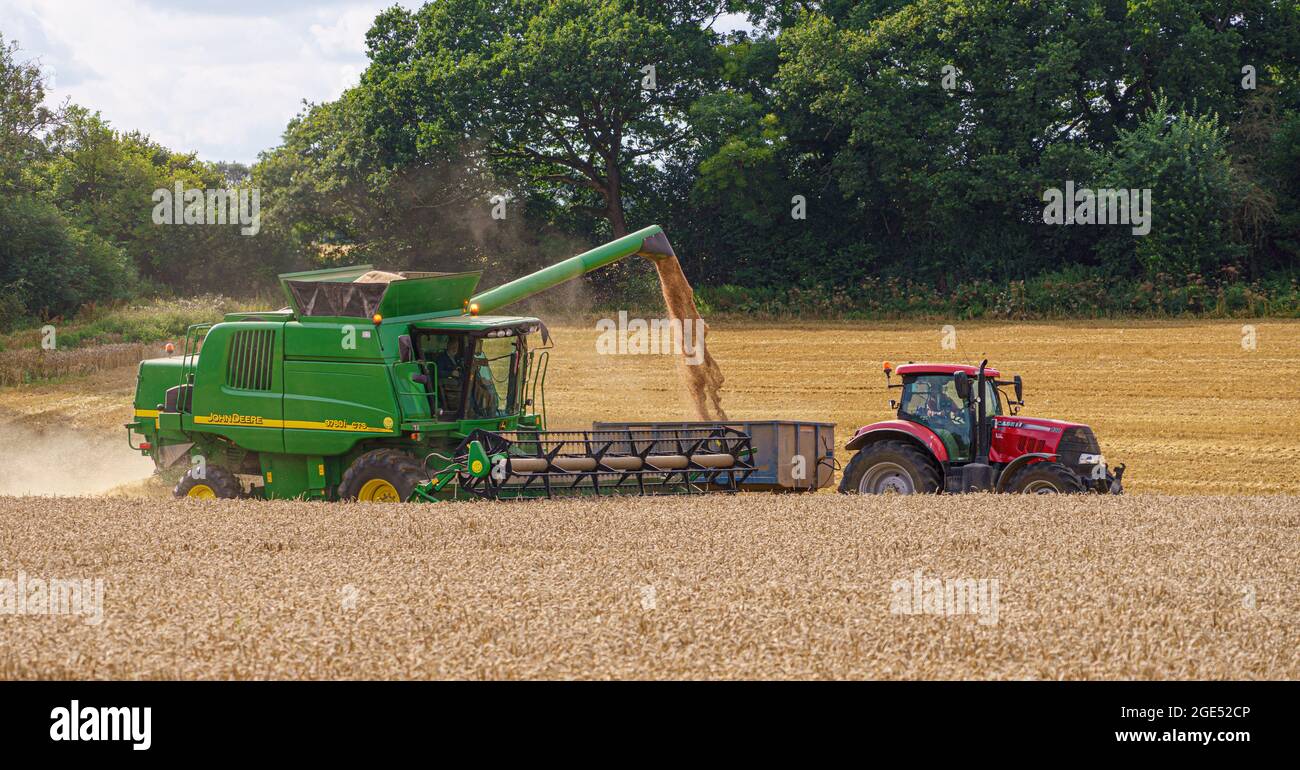 John Deere CTS 9870i Mähdrescher in Aktion Sammeln der Weizenernte mit einem Red Case 130 Traktor ziehen die Ernte Anhänger Stockfoto