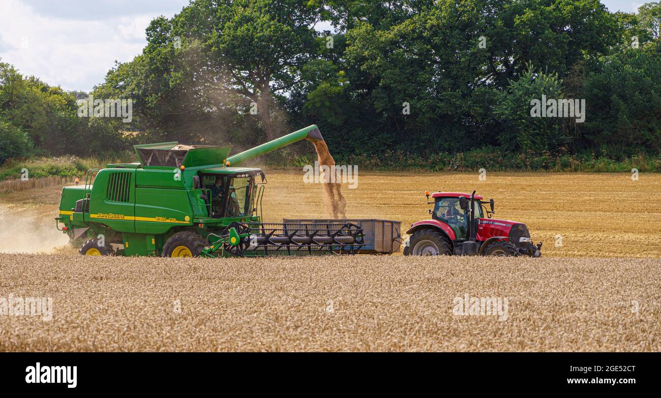 John Deere CTS 9870i Mähdrescher in Aktion Sammeln der Weizenernte mit einem Red Case 130 Traktor ziehen die Ernte Anhänger Stockfoto