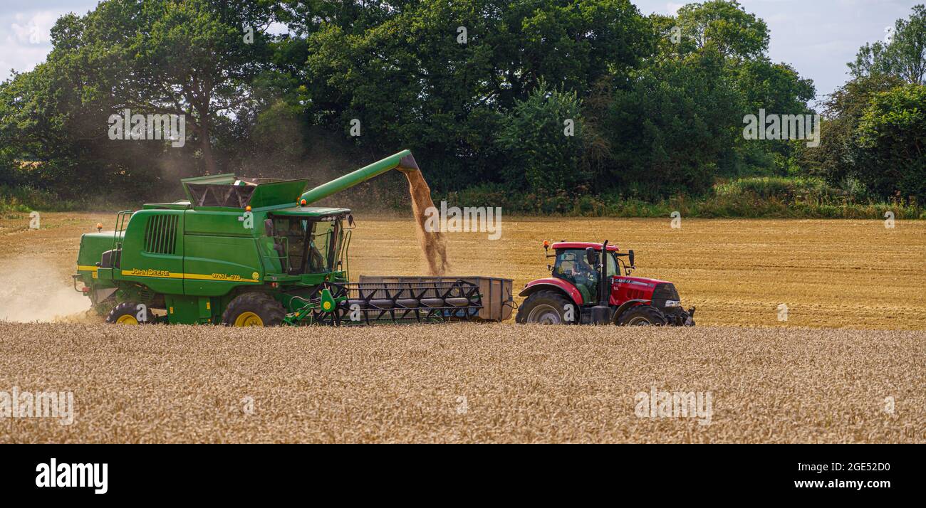 John Deere CTS 9870i Mähdrescher in Aktion Sammeln der Weizenernte mit einem Red Case 130 Traktor ziehen die Ernte Anhänger Stockfoto