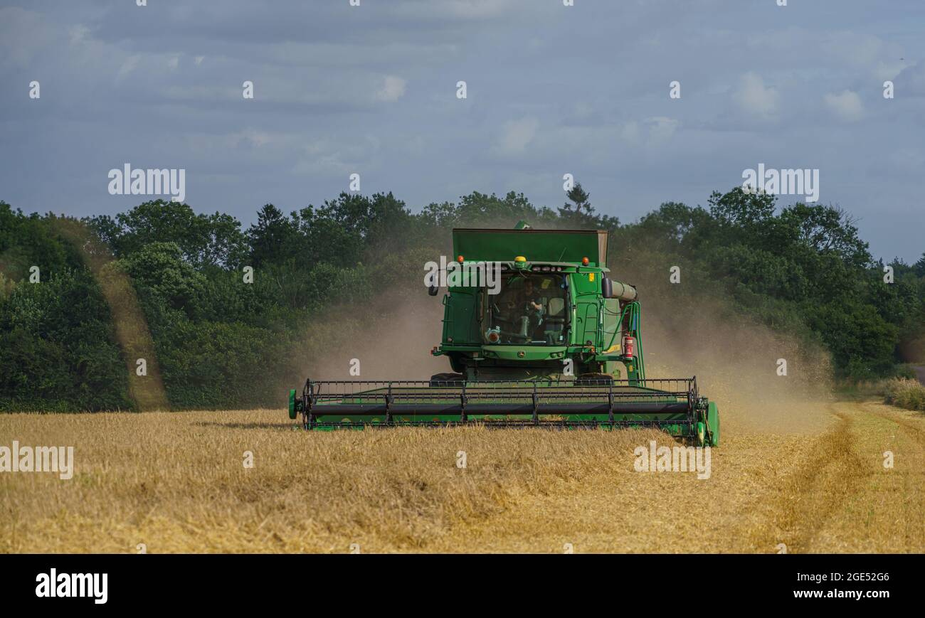 Ein John Deere Hillmaster T670 Mähdrescher in Aktion sammeln die Weizenernte Stockfoto