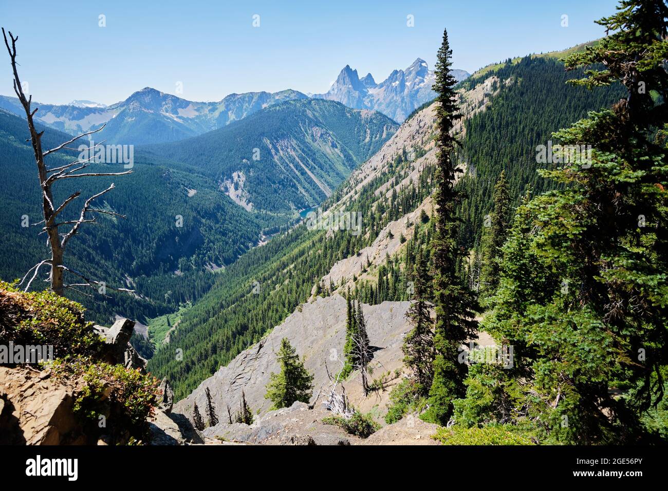 Blick vom Skyline Trail, Manning Park, BC. Steile bewaldete Hänge fallen zum Thunder Lake. In der Ferne liegt der Hozomeen-Gipfel. Stockfoto