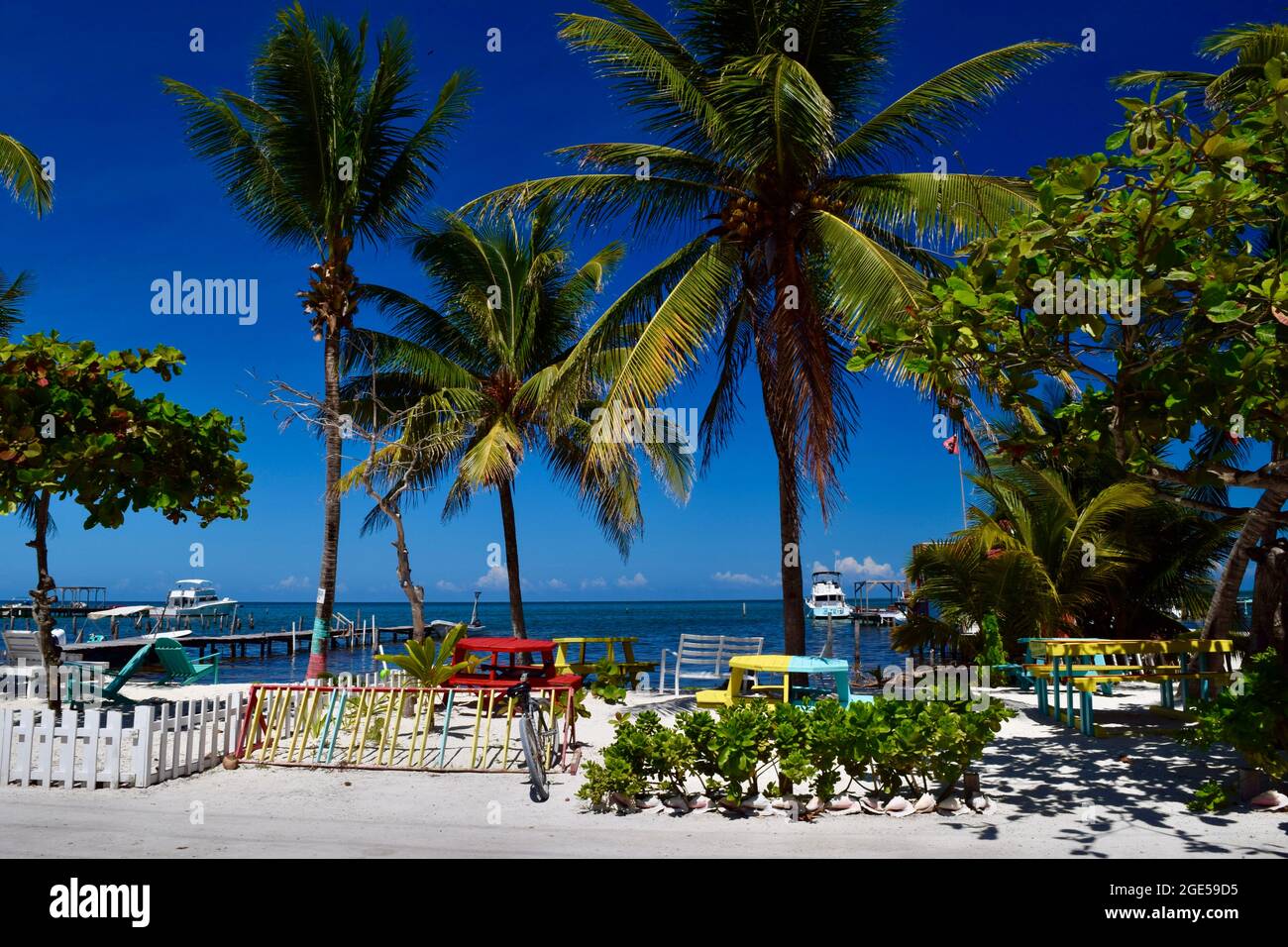 Der perfekte Tag am Strand von Caye Caulker, mit Palmen, blauem Himmel und bunten Bänken. Stockfoto