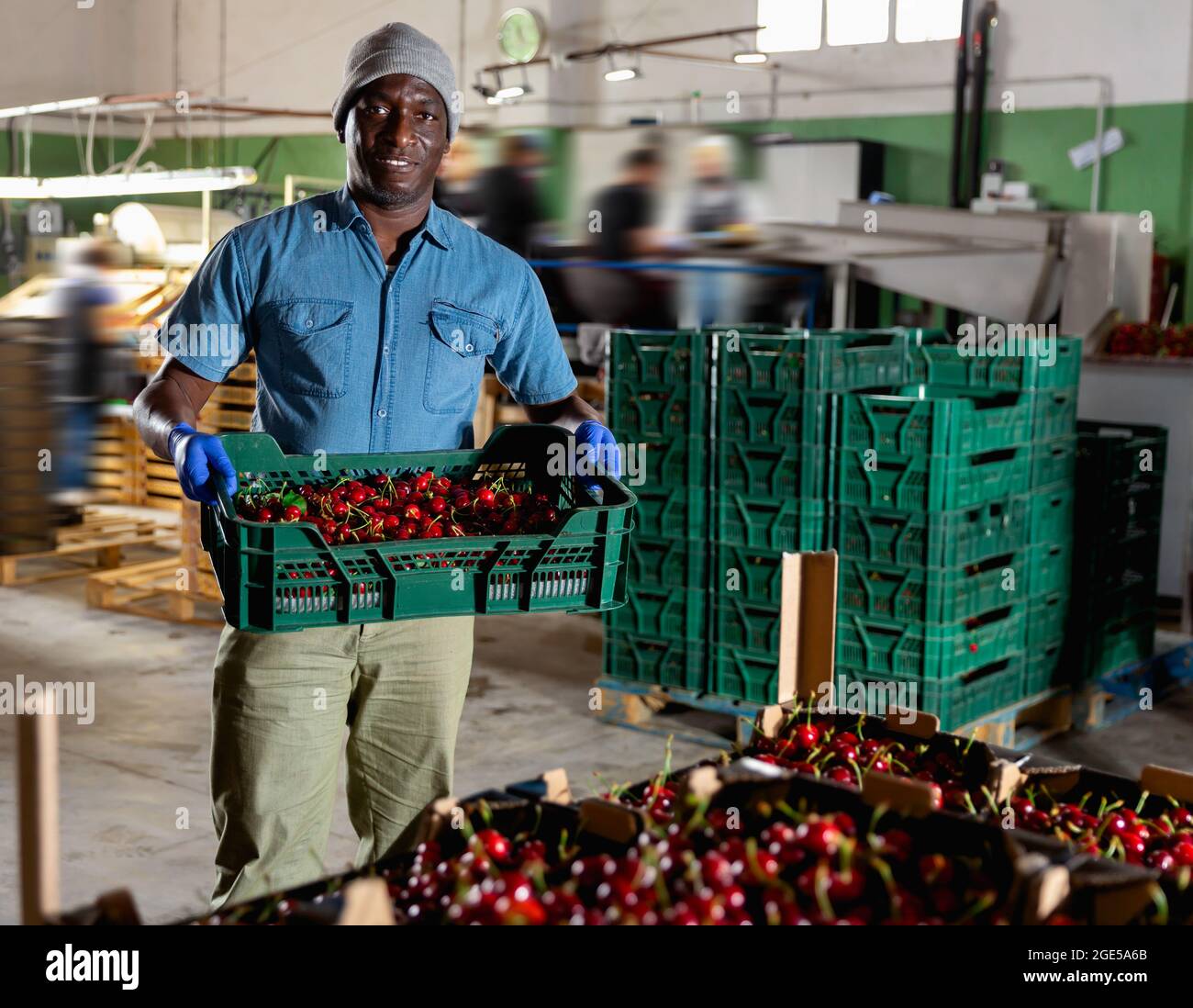 Afrikanischer Arbeiter im CHERRY-Lager Stockfoto