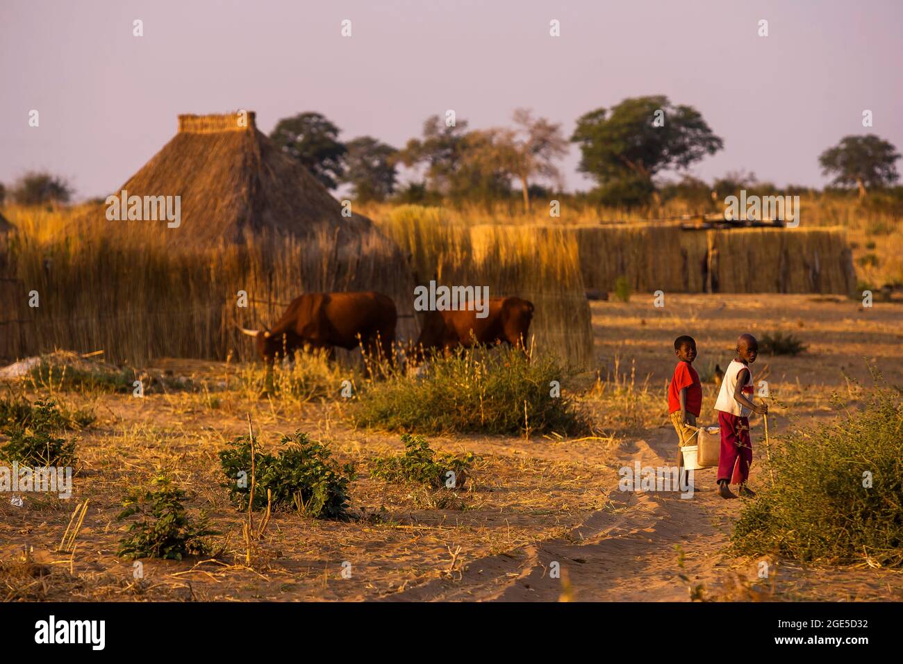Jungen, die Wasser in der Nähe ihres Hauses tragen, eine Art reetgedeckte Dachhütten, eingezäunt mit reetgedeckten Wänden, Caprivi Strip, Namibia Stockfoto