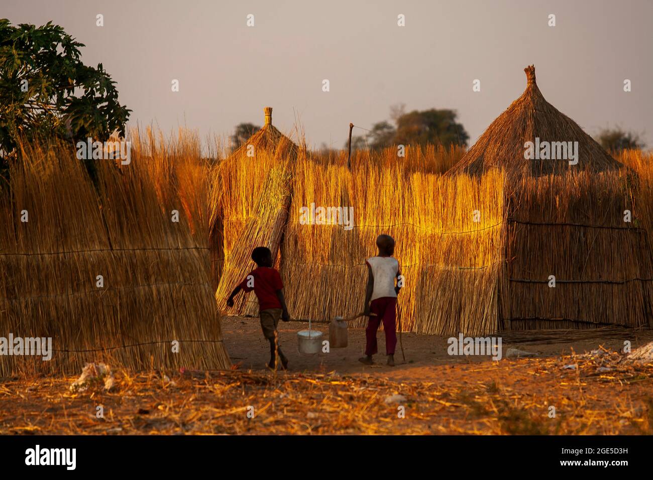 Jungen, die Wasser in der Nähe ihres Hauses tragen, eine Art reetgedeckte Dachhütten, eingezäunt mit reetgedeckten Wänden, Caprivi Strip, Namibia Stockfoto