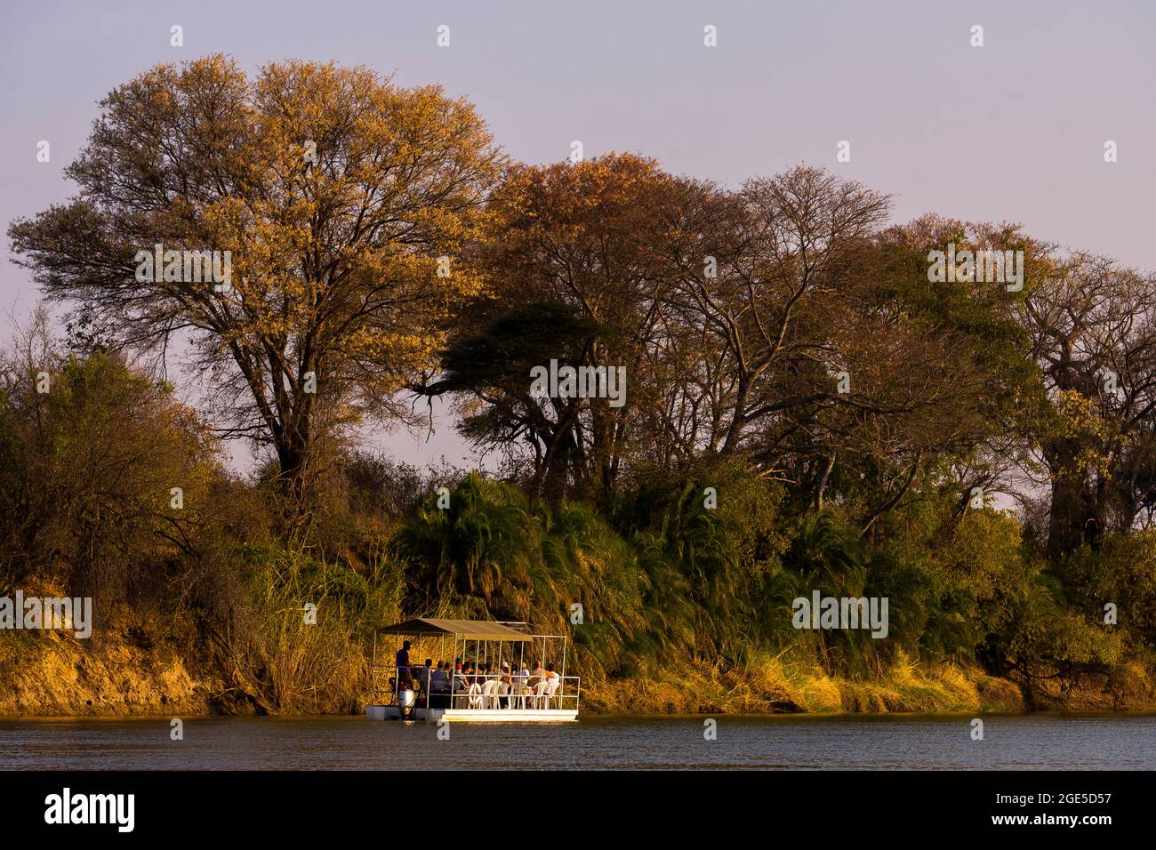 Bootssafari auf dem Okavango-Fluss, Caprivi Strip, Namibia Stockfoto