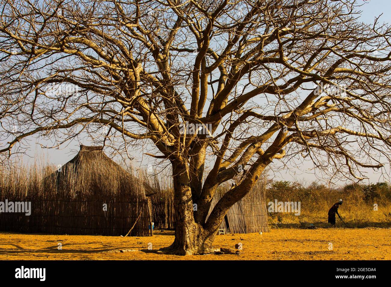 Afrikanische Frau, die den Boden in der Nähe seiner strohgedeckten Hütte am Caprivi Strip in Namibia pflügt Stockfoto