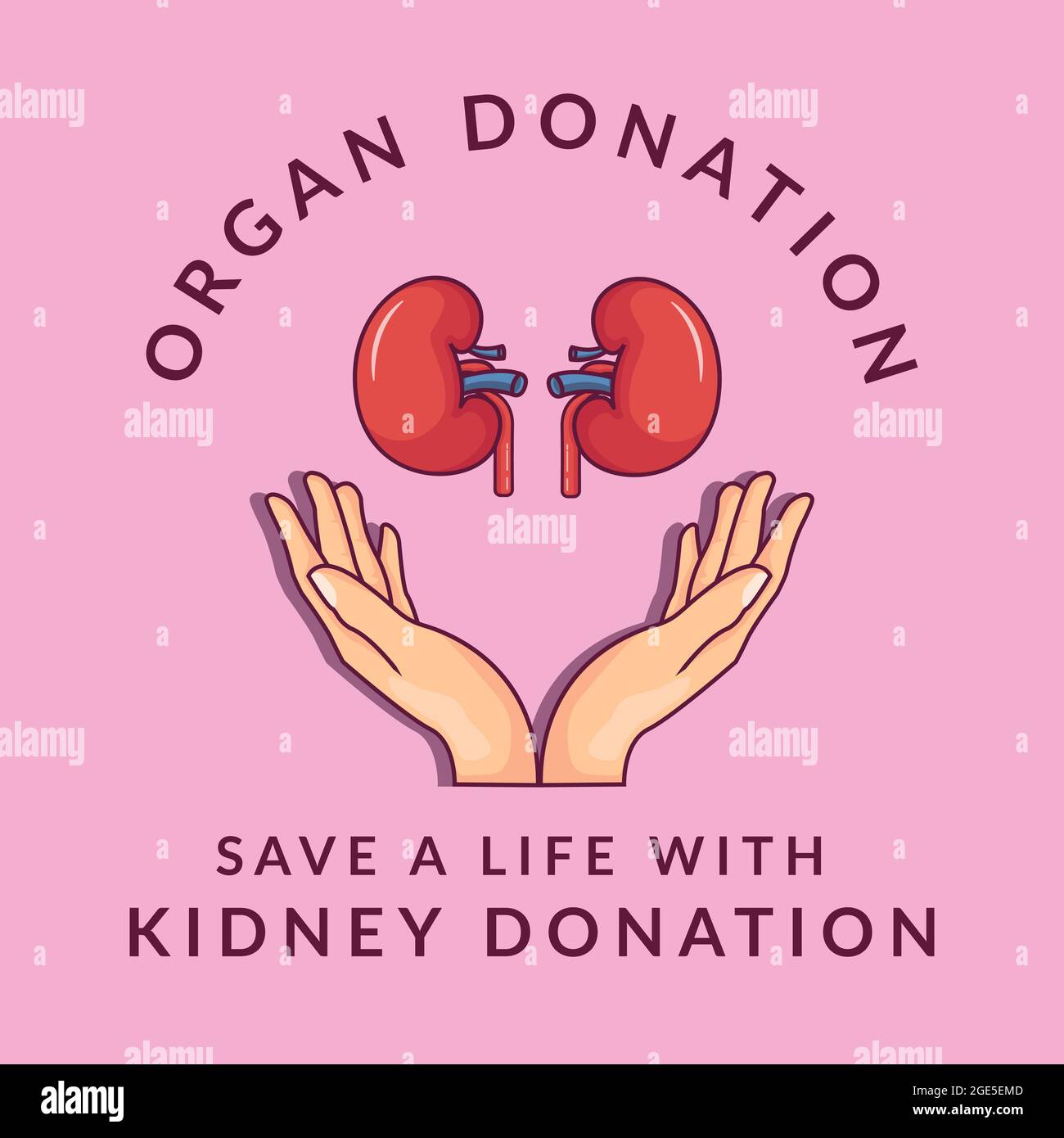 Organspende. Nierenspende. spenden Sie Ihre Niere, um ein Leben zu retten. vektorgrafik Icon Design Stock Vektor