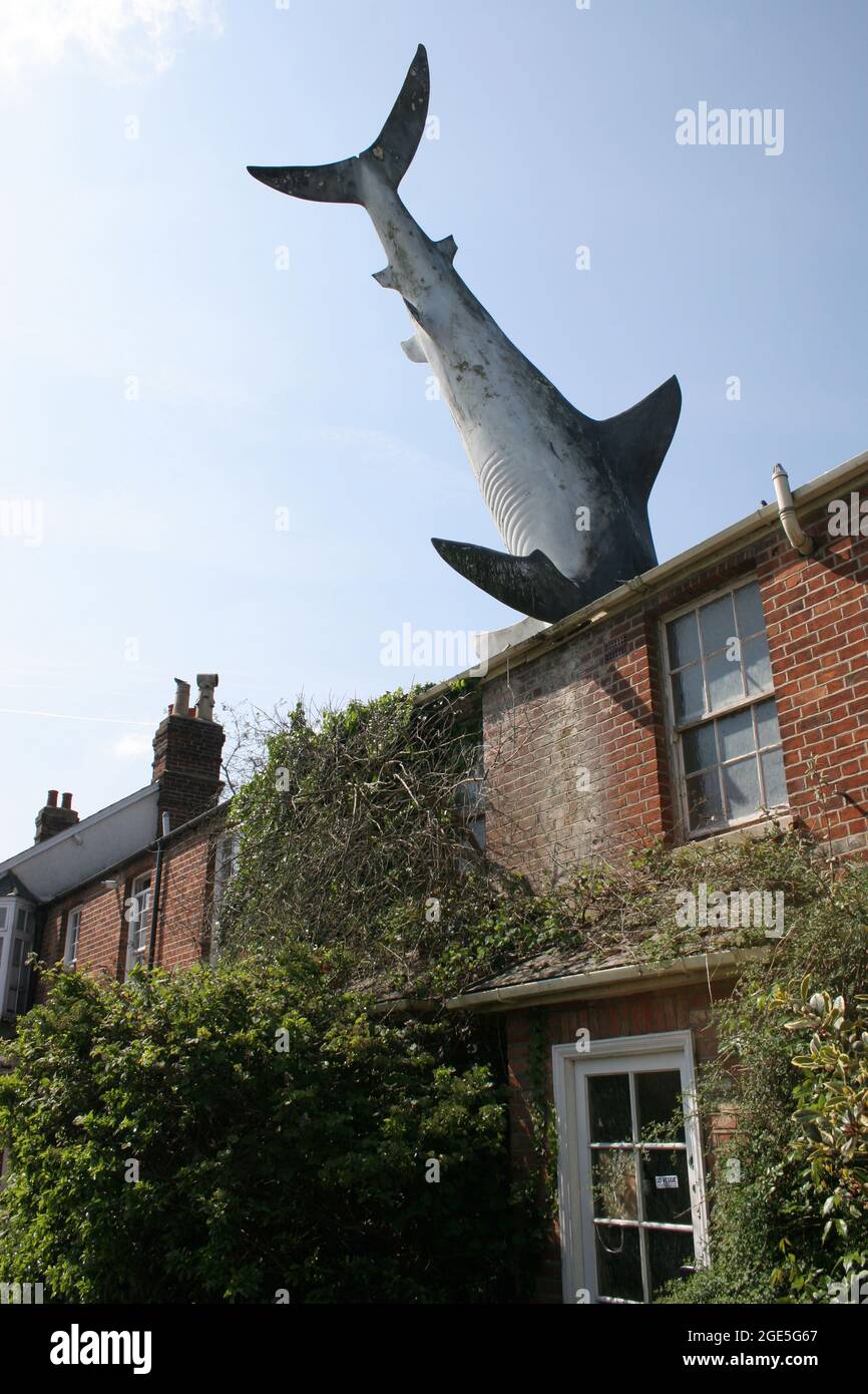 Bill Heine's Shark in einer Dachstatue in Headington, Oxford, Großbritannien Stockfoto