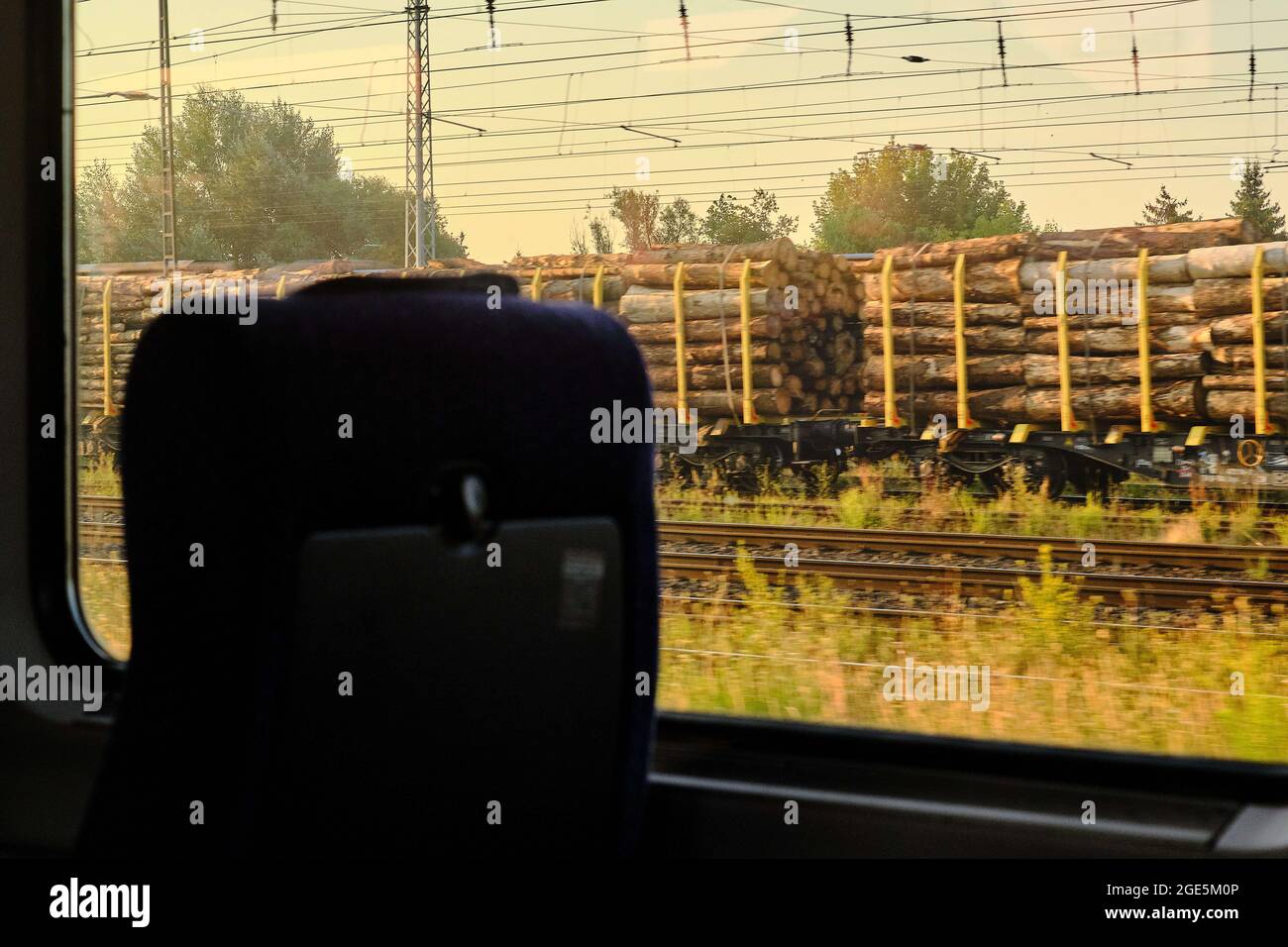 12. August 2021, Sachsen-Anhalt, ---: Blick von der fahrenden IC 2949 auf Waggons, die mit im Bahnhof geparkten Holzstämmen beladen sind. Laut einer Umfrage der GD Holz unter ihren Mitgliedsunternehmen erwartet die Mehrheit der teilnehmenden Unternehmen weiterhin steigende oder stabile Umsätze, wobei knapp ein Drittel auch mit rückläufigen Umsätzen rechnet. Der Holzhandel ist nach wie vor stark von Einschränkungen der Lieferbereitschaft oder Lieferfähigkeit vorgelagerter Lieferanten betroffen. Die angespannte Lage in der Lieferkette wird sich daher laut Bericht voraussichtlich in t fortsetzen Stockfoto