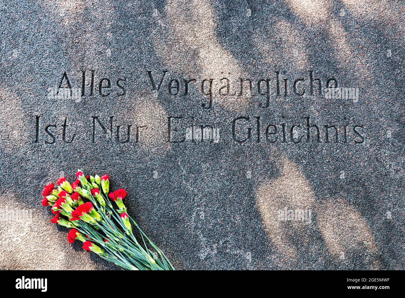 Inschrift, Goethe-Zitat auf Steinplatte, alles Vergängliche ist nur ein Gleichnis, rote Nelken, Grab von Kurt Tucholsky, Mariefred Stockfoto