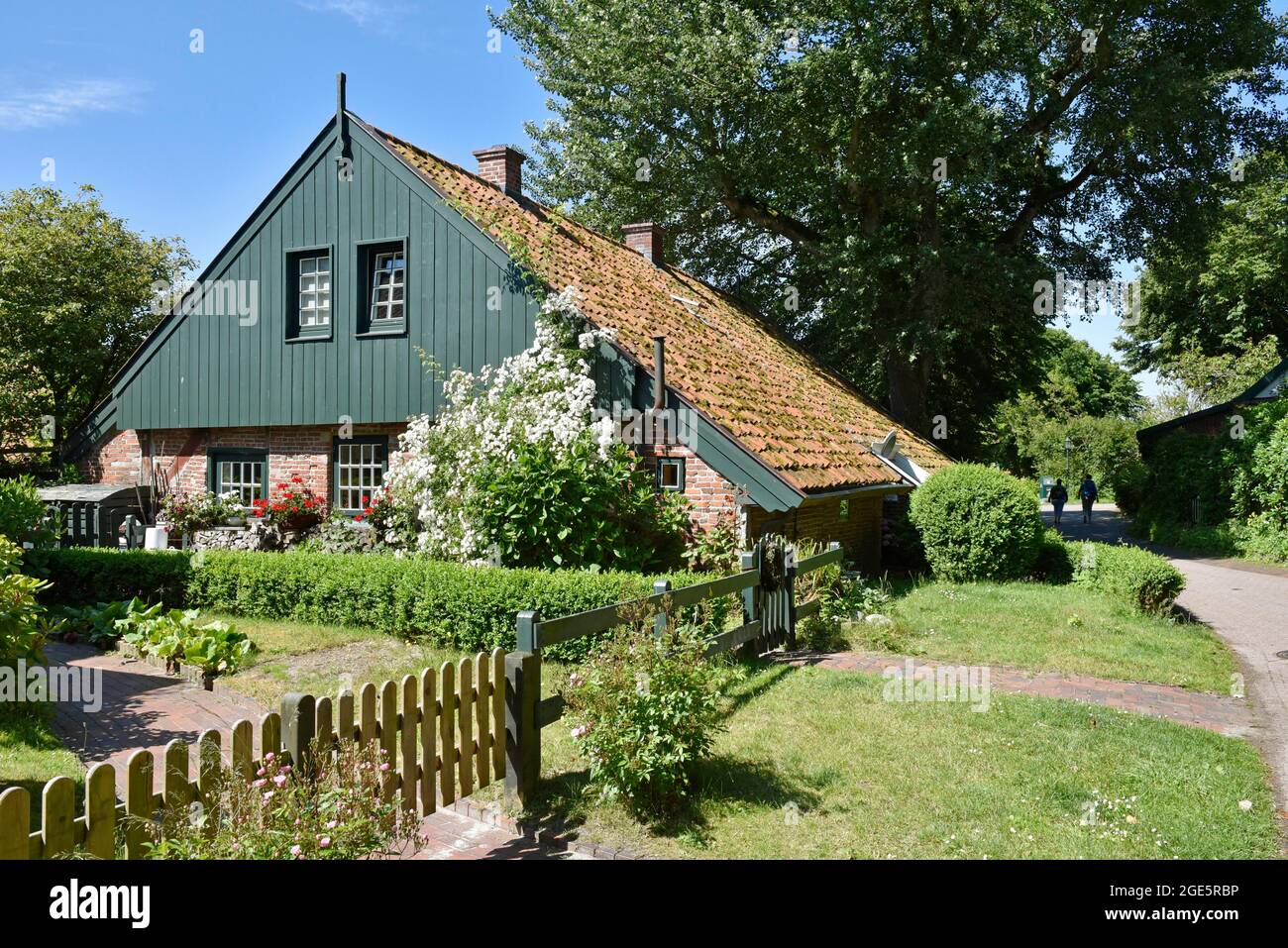 Das Alte Inselhaus, Spiekeroog, Ostfriesische Insel, Ostfriesland, Niedersachsen, Deutschland Stockfoto