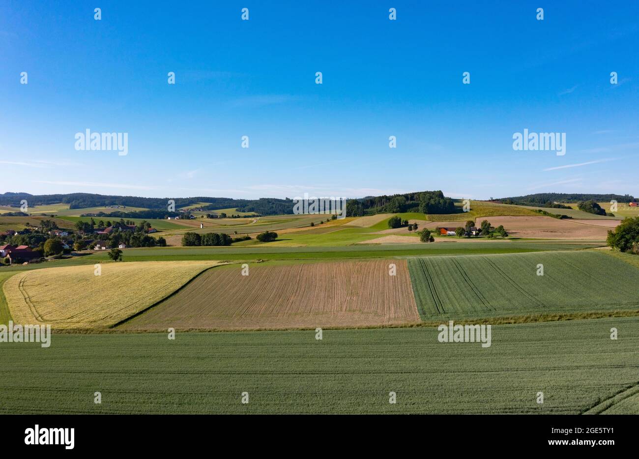 Agrarlandschaft, landwirtschaftliche Felder mit Bauernhöfen in der Nähe von Waldzell, Innviertel, Oberösterreich, Österreich Stockfoto