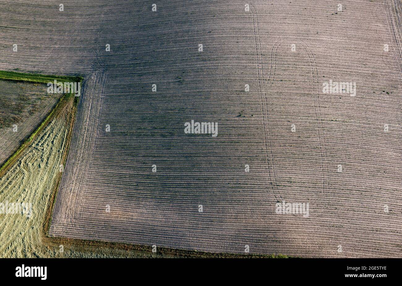 Drohnenbild, Agrarlandschaft, Struktur auf einem gepflügten Feld, Innviertel, Oberösterreich, Österreich Stockfoto