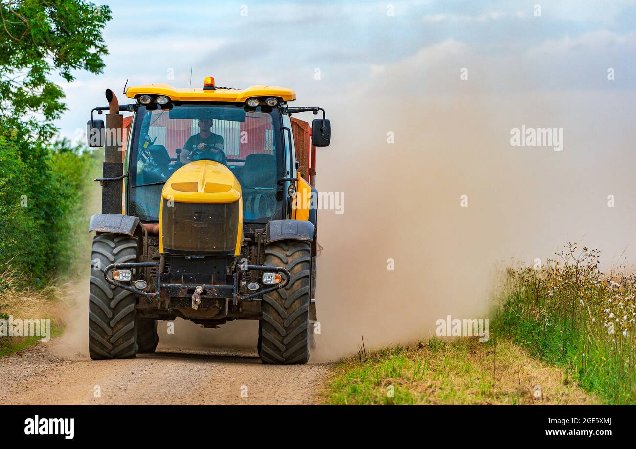 Ein gelber Traktor, der einen Anhänger schleppt, rast auf einer schmalen  Feldbahn und kartiert zur Erntezeit Mais und wirft eine Staubwolke dahinter  auf Stockfotografie - Alamy
