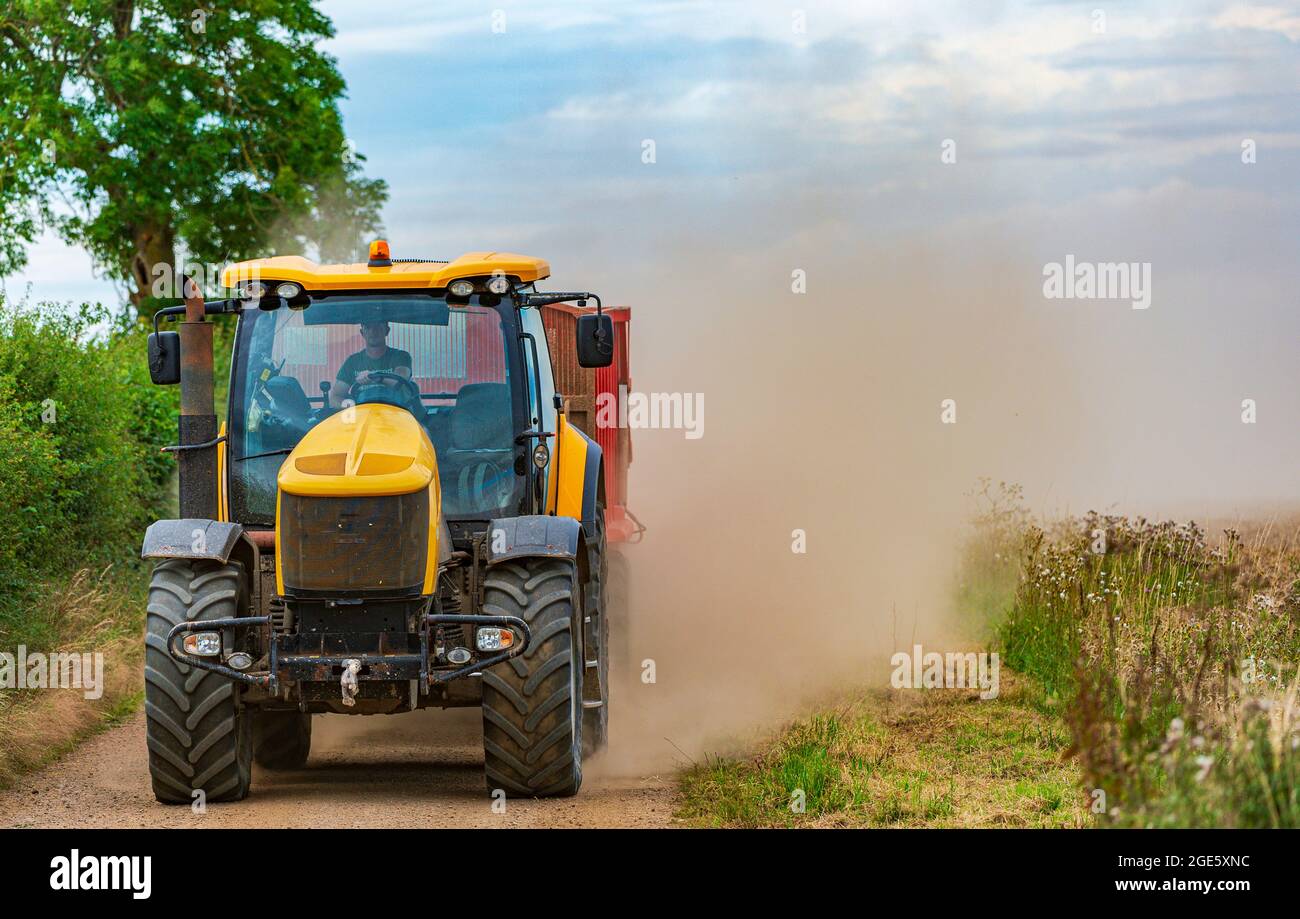Ein gelber Traktor, der einen Anhänger schleppt, rast auf einer schmalen Feldbahn und kartiert zur Erntezeit Mais und wirft eine Staubwolke dahinter auf Stockfoto