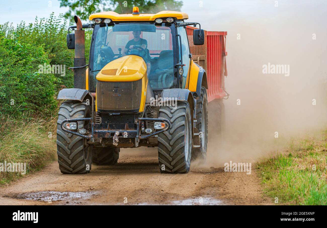 Ein gelber Traktor, der einen Anhänger schleppt, rast auf einer schmalen Feldbahn und kartiert zur Erntezeit Mais und wirft eine Staubwolke dahinter auf Stockfoto