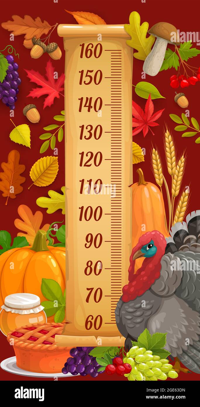 Kinder-Höhenkarte mit danksagetürke, Ernte und Herbstblättern. Kinderwachstum Vektor-Messgerät mit Eichel, Pilz und Kürbis vegetabl Stock Vektor
