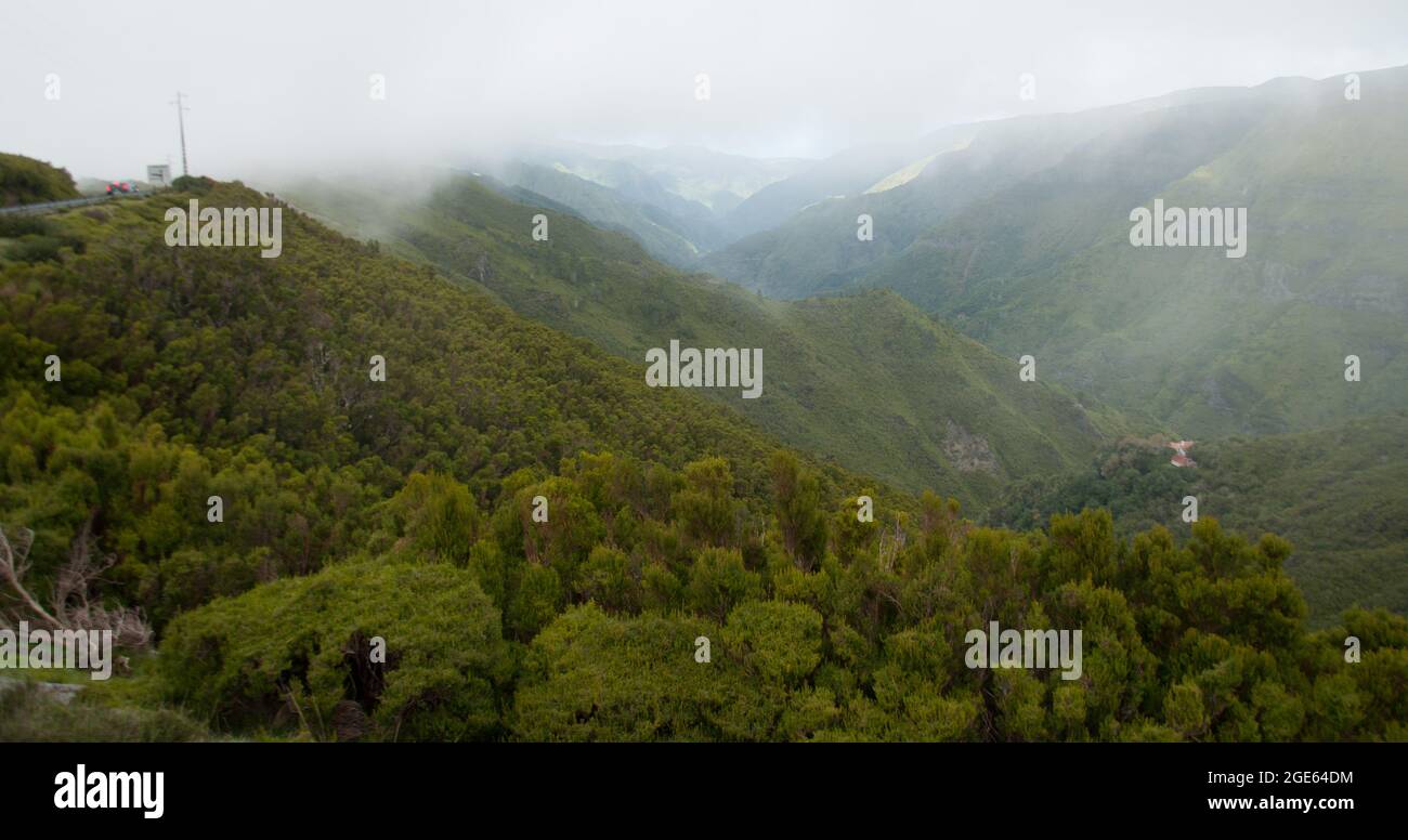 Nebel in den Bergen, Madeira, Madeira, Portugal, Europa Stockfoto