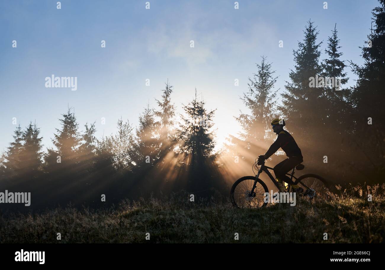 Horizontale Momentaufnahme eines Mannes, der am frühen nebligen Morgen mit seinem Fahrrad in den Bergen unterwegs war. Sonnenstrahlen durchdringen die Wand immergrüner Fichten und beleuchten die Silhouette des Radfahrers. Konzept der Bergfahrt Stockfoto