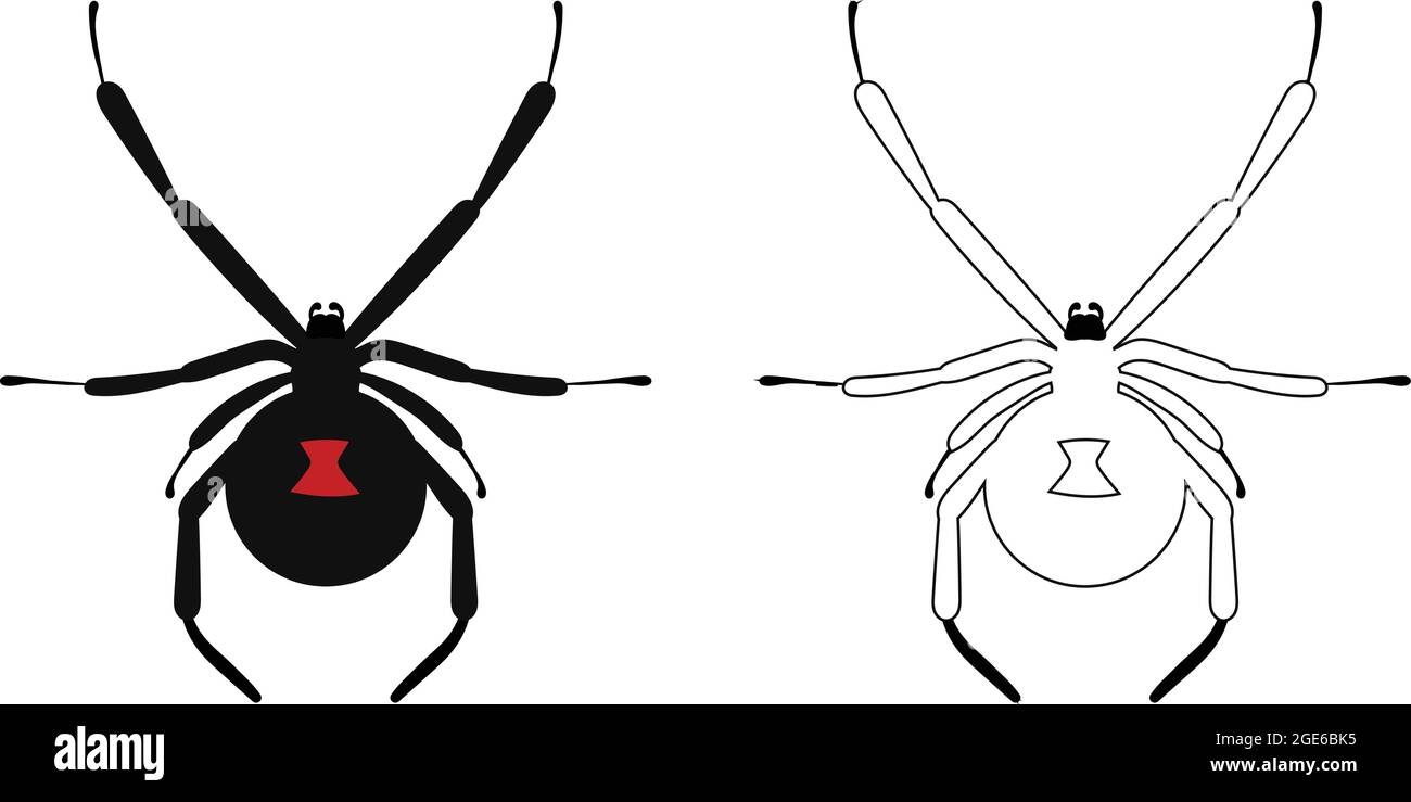 Vektor-Illustration Der Giftigen Schwarzen Witwe. Halloween Clipart. Stock Vektor