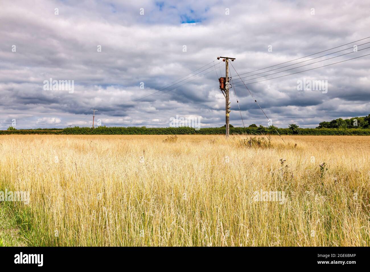 Blick auf Felder, die am Stadtrand von Olney im Borough of Milton Keynes in Buckinghamshire, England, aufrappen. Stockfoto