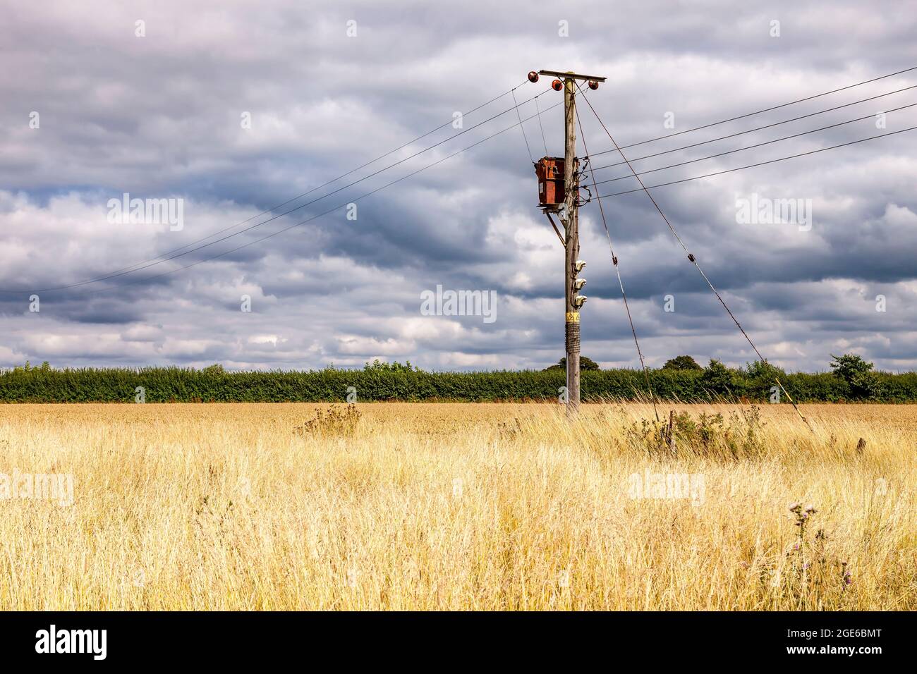 Blick auf Felder, die am Stadtrand von Olney im Borough of Milton Keynes in Buckinghamshire, England, aufrappen. Stockfoto