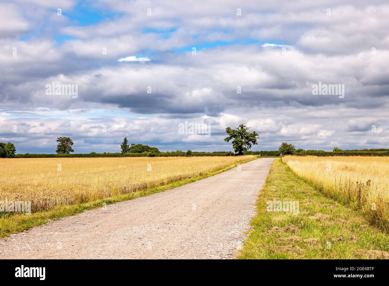 Blick auf Felder, die am Stadtrand von Olney im Borough of Milton Keynes in Buckinghamshire, England, aufrappen. Stockfoto