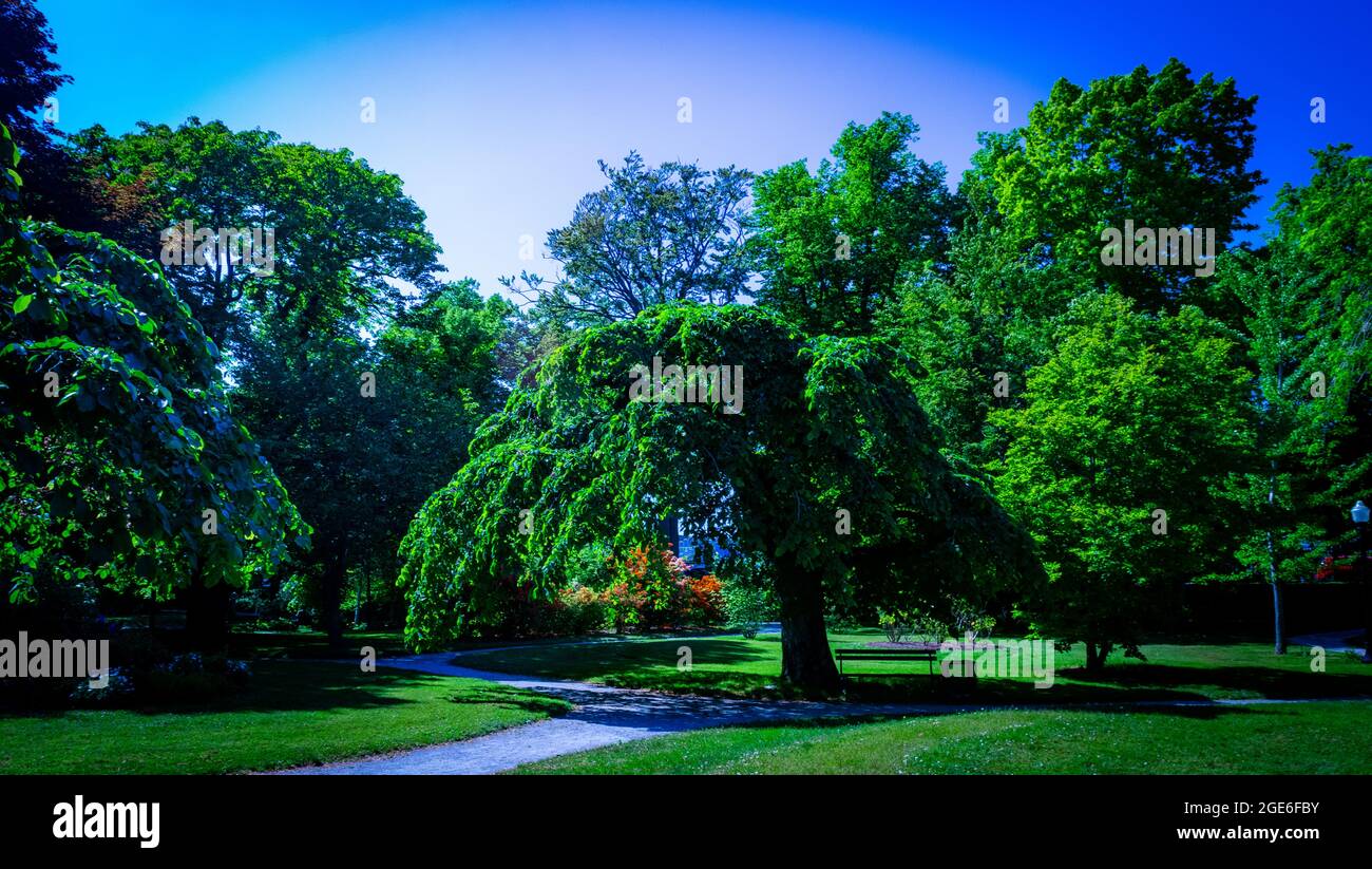 Öffentliche Gärten von halifax an einem schönen Sommertag Stockfoto